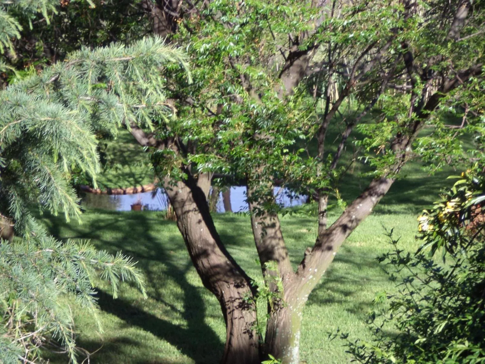 Garden in Gateway Guesthouse