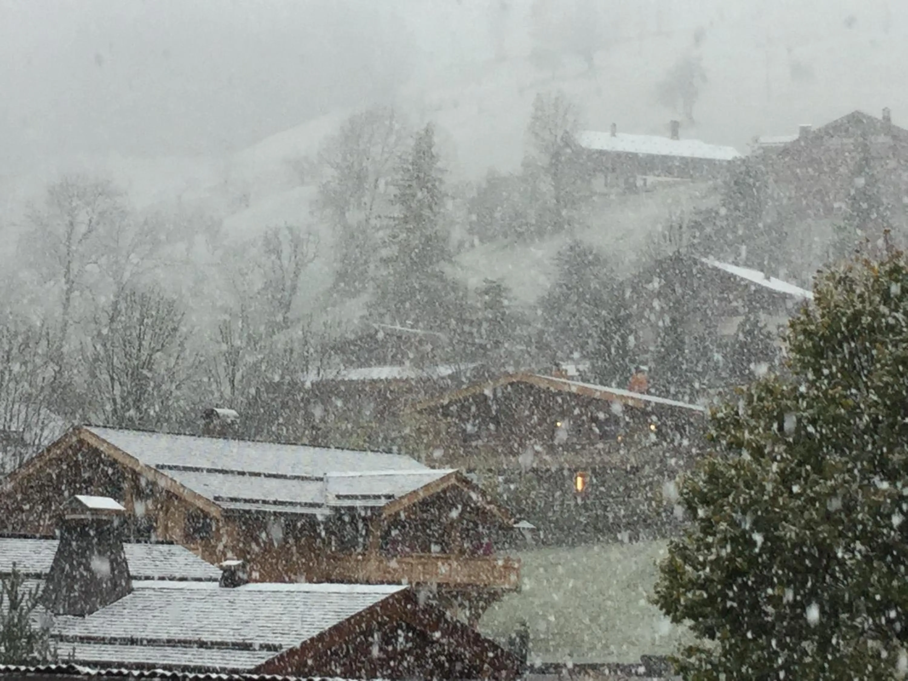 Chalet le 1791