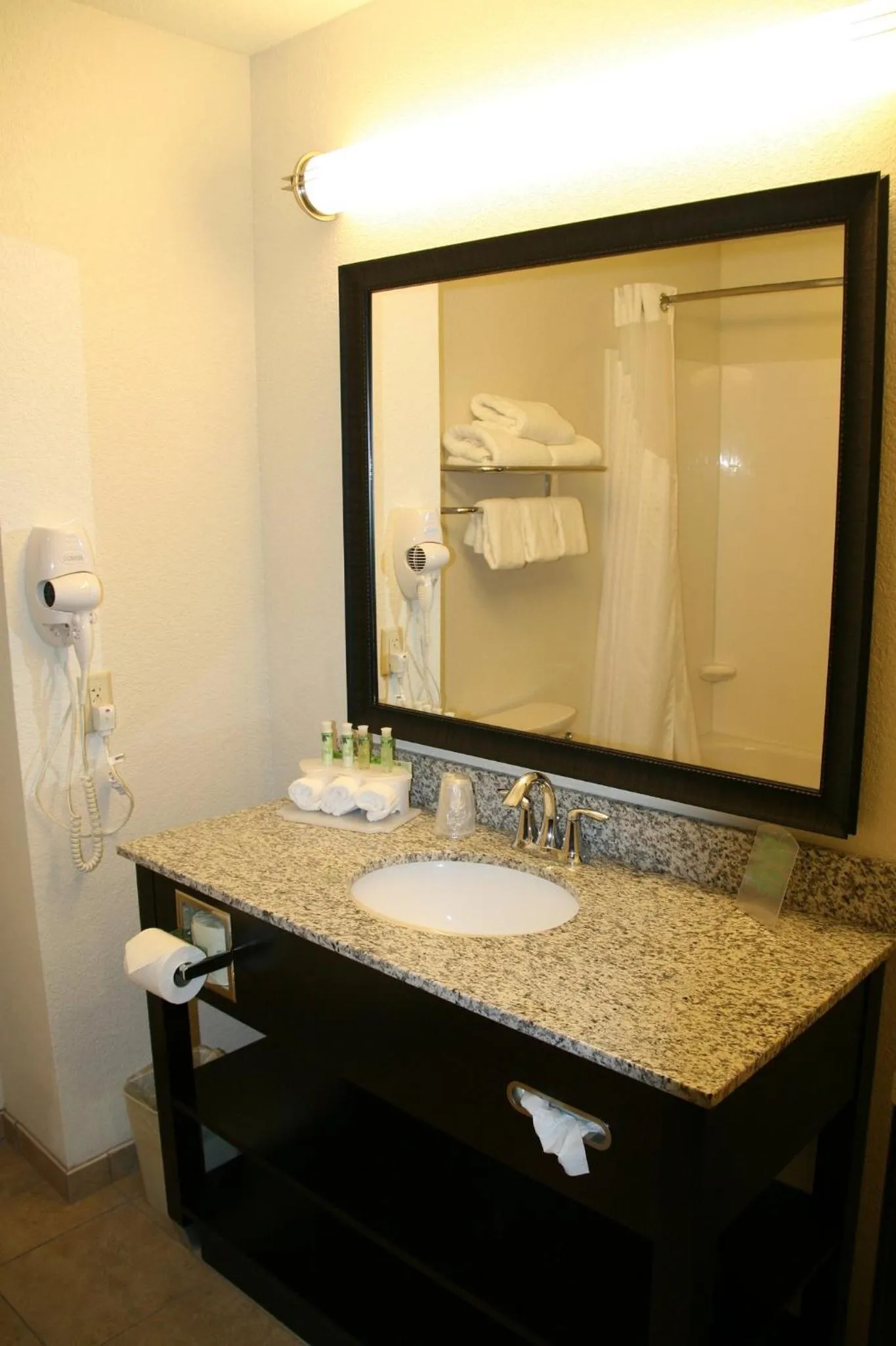 Bathroom in Holiday Inn Express & Suites Nevada by IHG