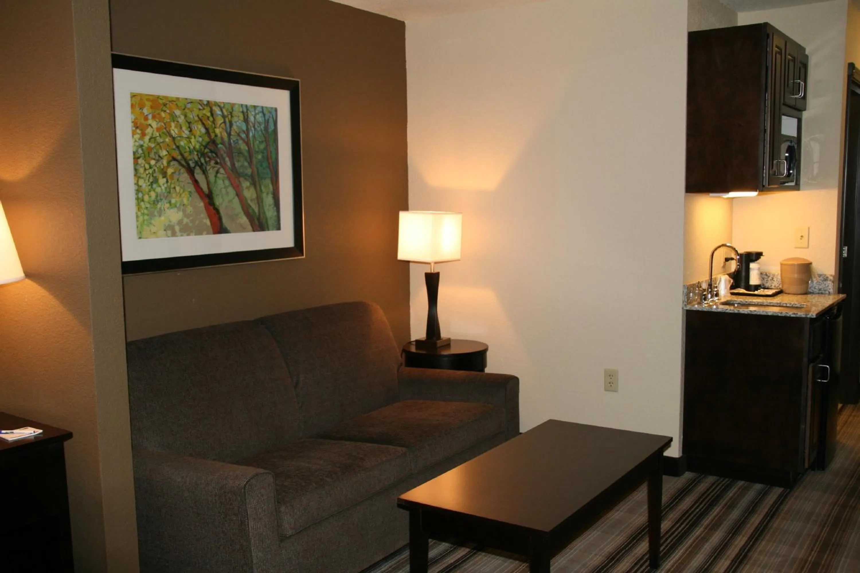 Photo of the whole room in Holiday Inn Express & Suites Nevada by IHG