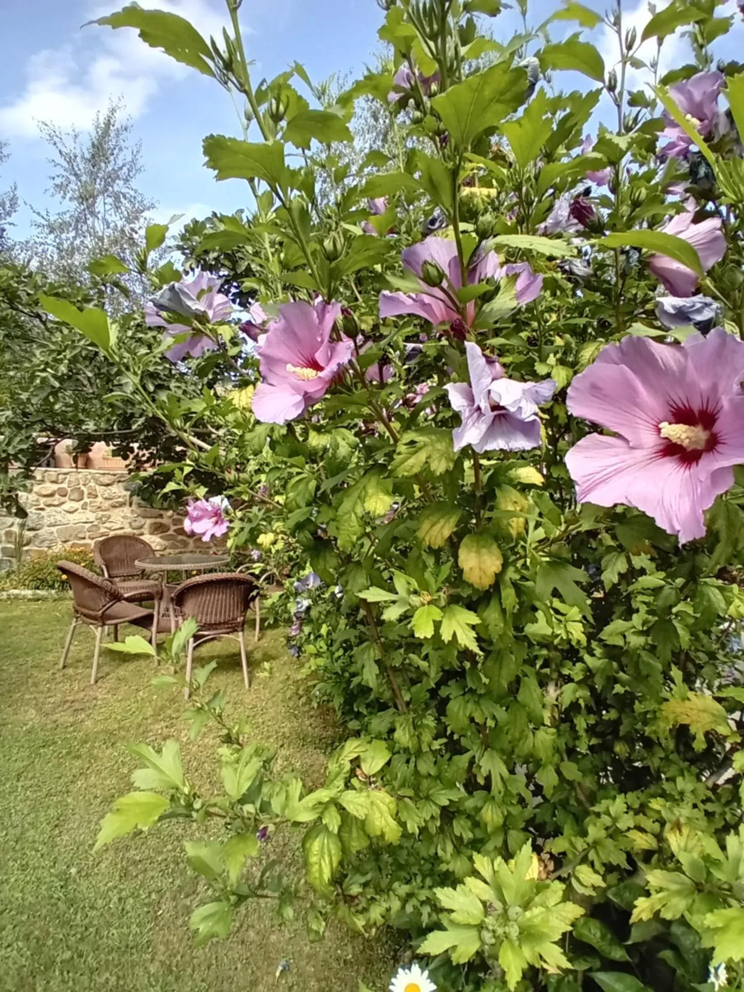 Garden in Picos de Europa Suites and Rooms