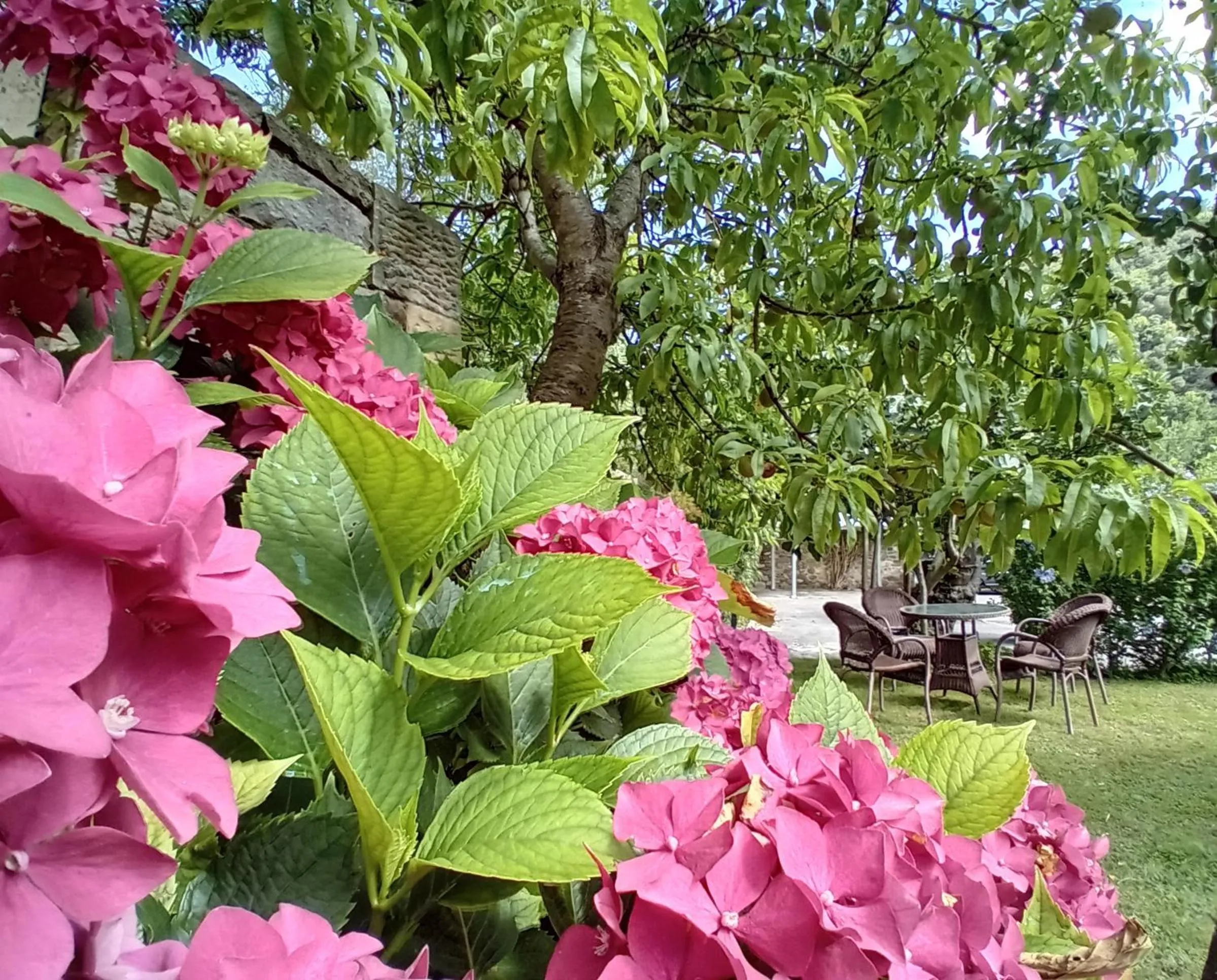 Garden in Picos de Europa Suites and Rooms
