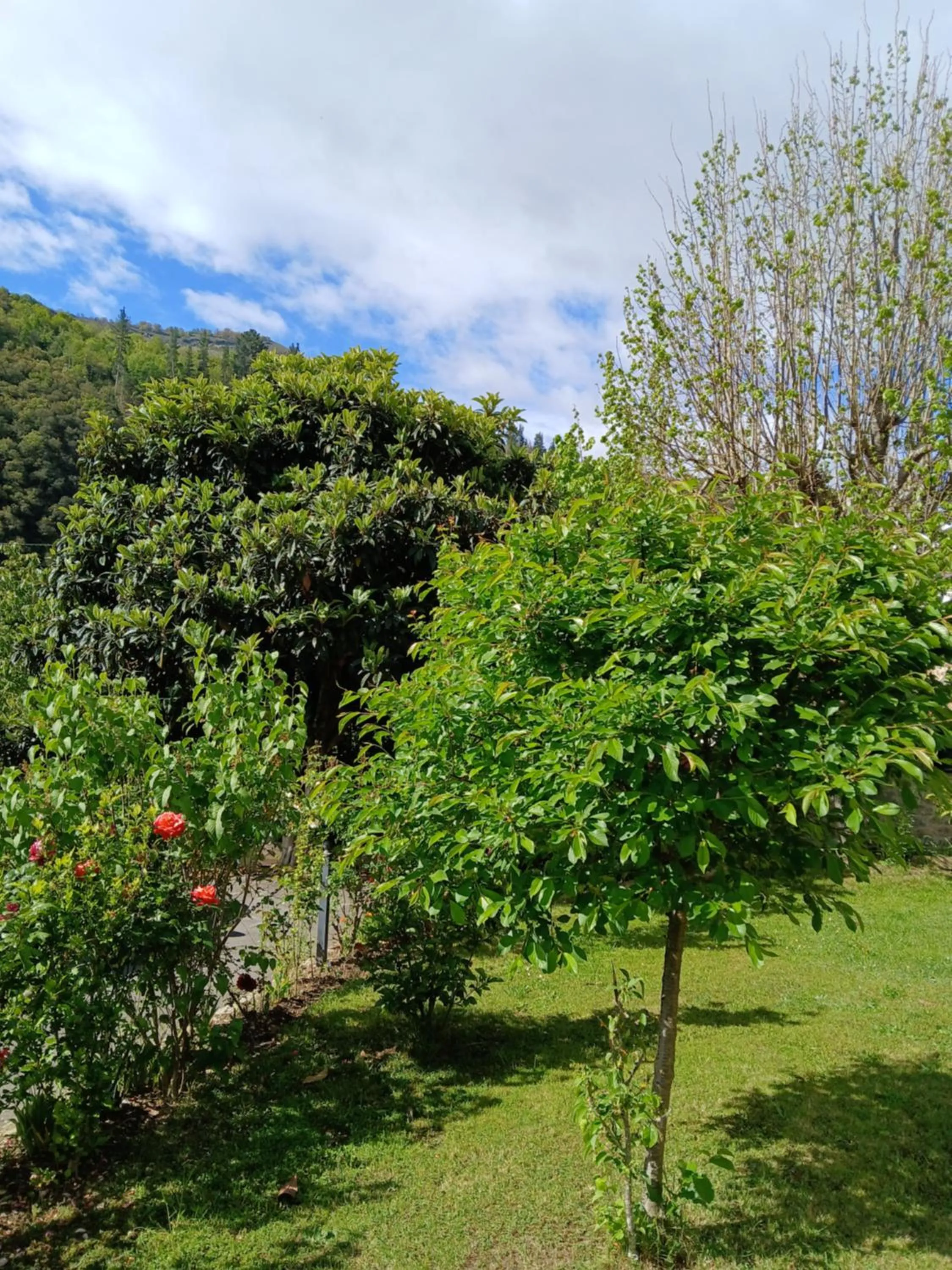 Garden view in Picos de Europa Suites and Rooms