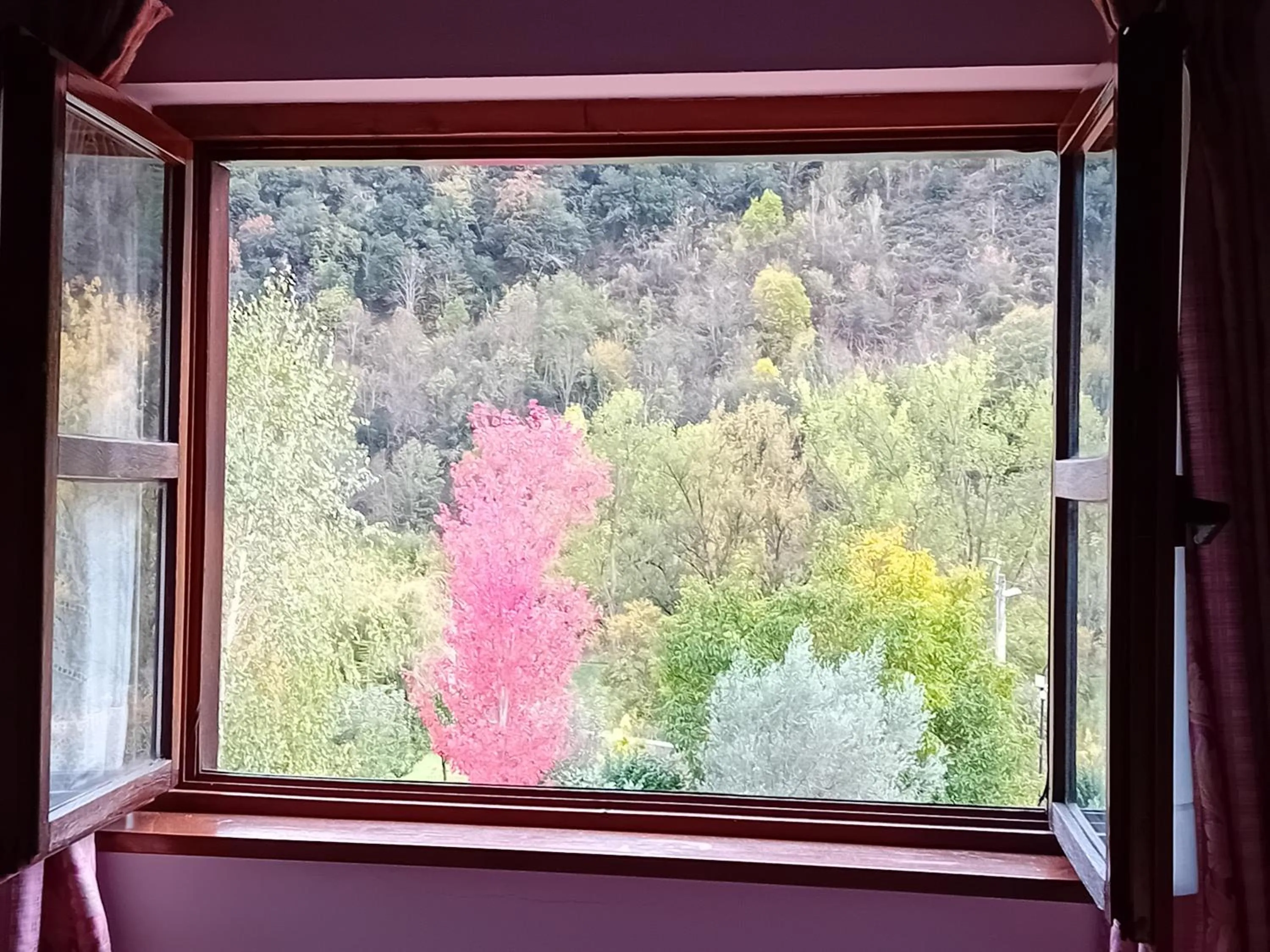 Natural landscape in Picos de Europa Suites and Rooms