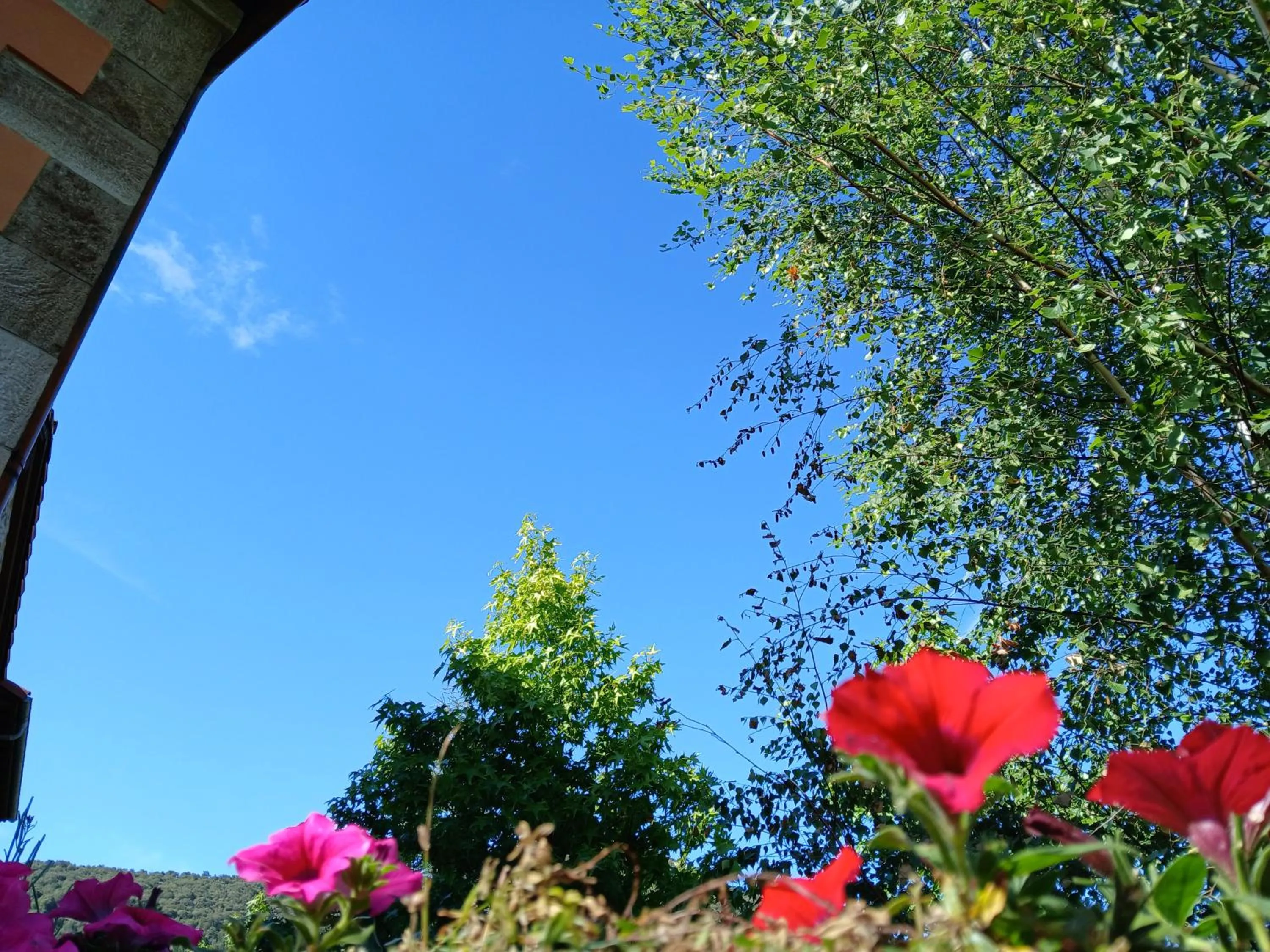 Garden view in Picos de Europa Suites and Rooms