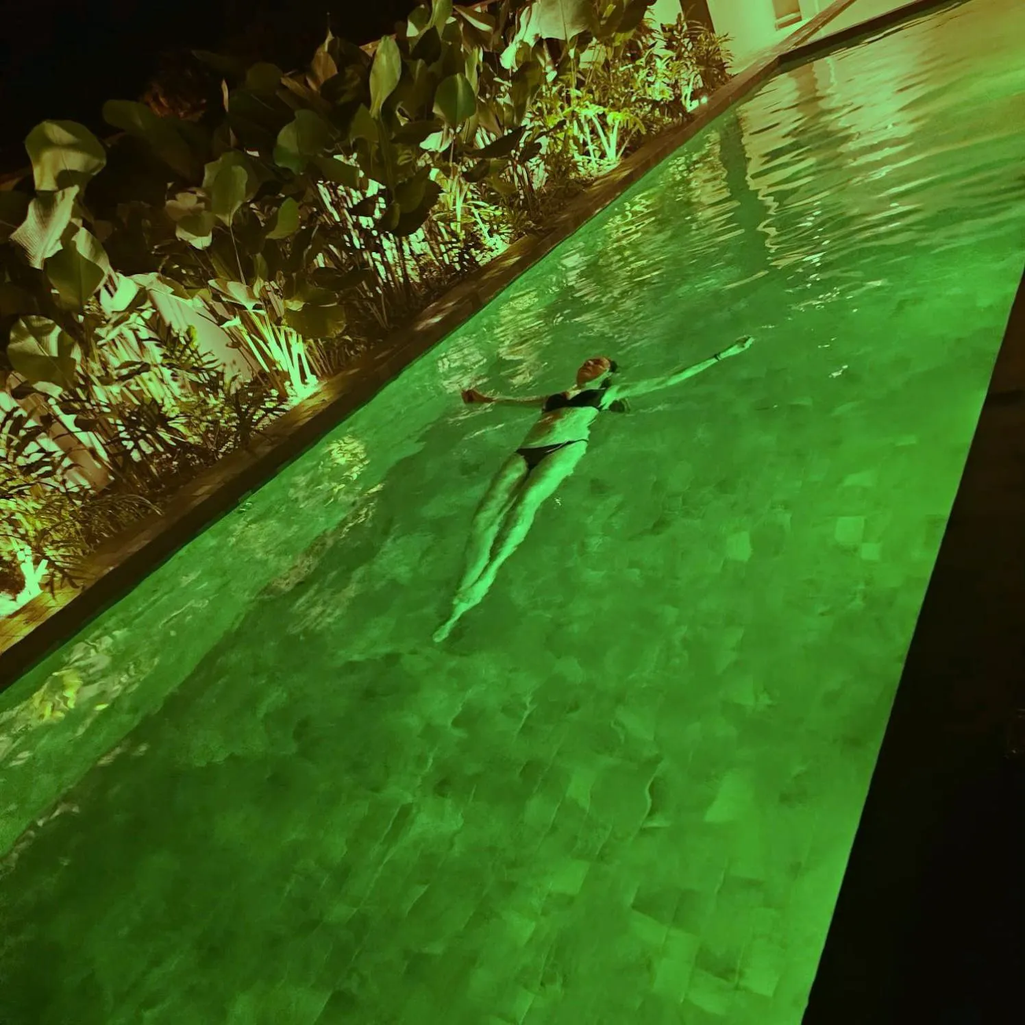 Garden in Pousada Yamandu - SPA Aquecido