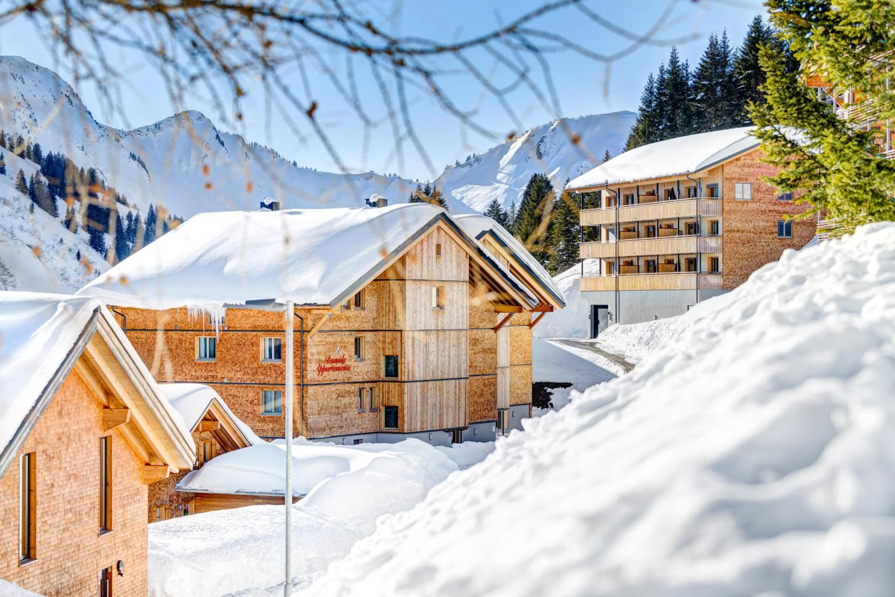 Winter in Damüls Appartements