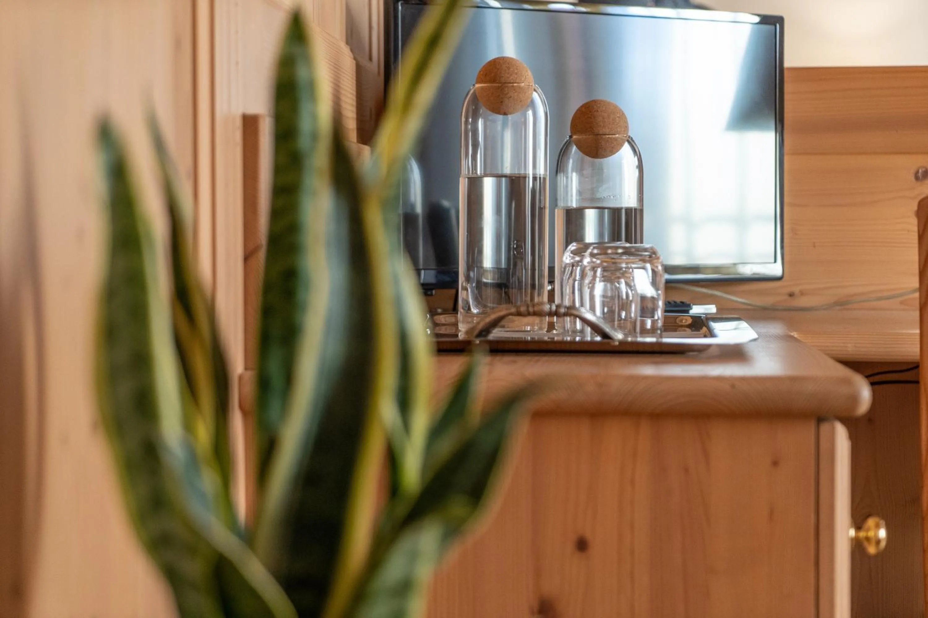 Decorative detail in Hotel Canova Sport & Relax