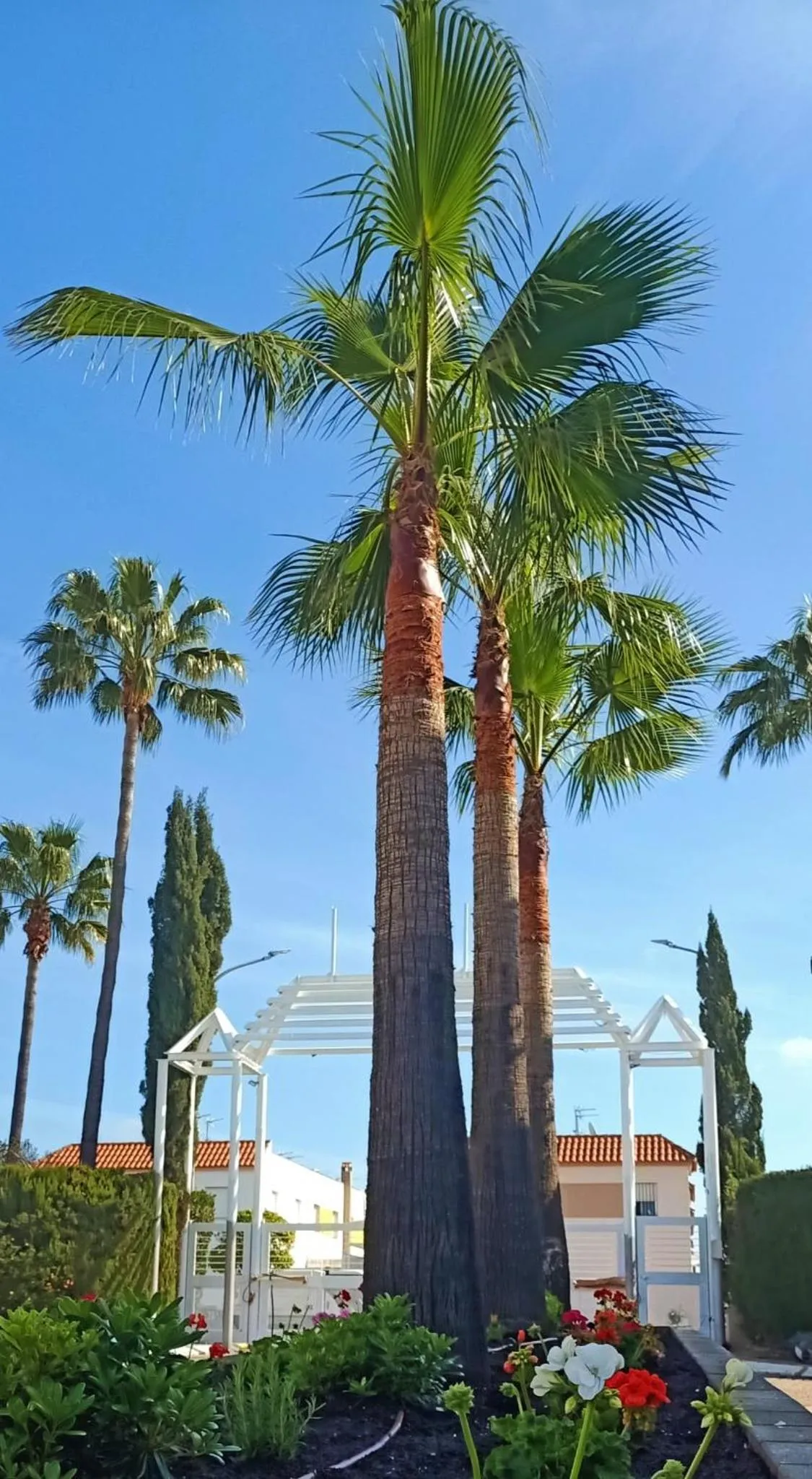 Off site in Hospedium Hotel Sky Blu Torre de Sevilla