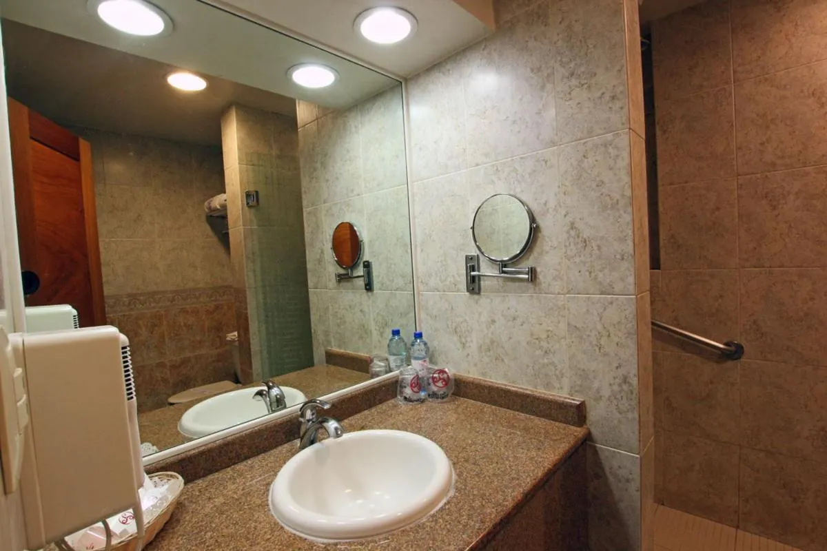 Toilet in Hotel Colón Plaza Business Class