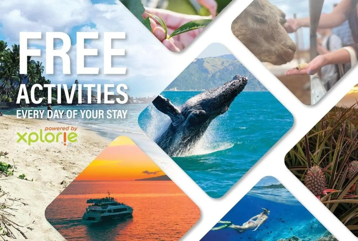 Lauloa 105 · LOA 105 2BD OceanFront Getaway w AC Pool