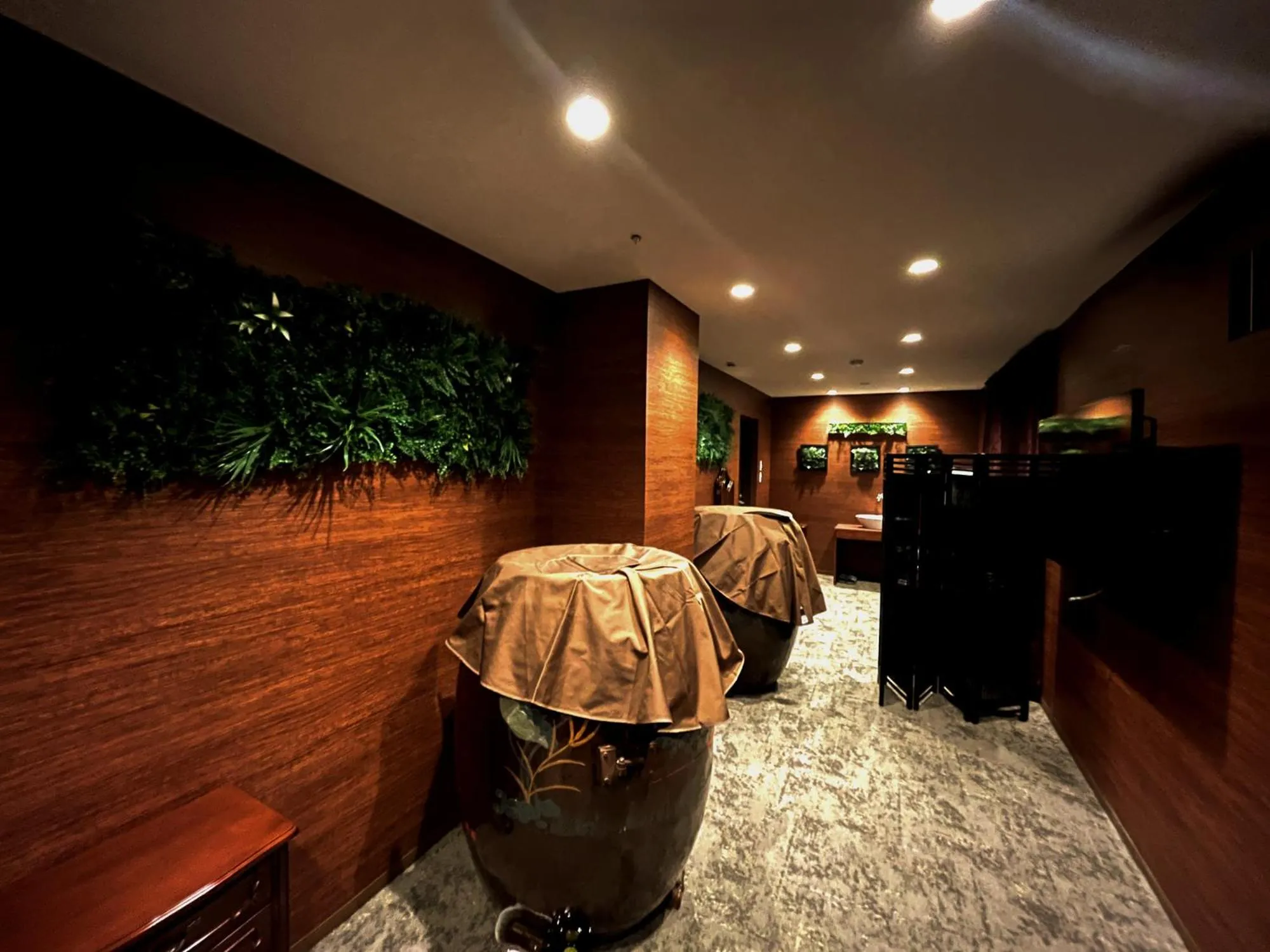 hair dryier in Resort Hotel RAKI House Nasu