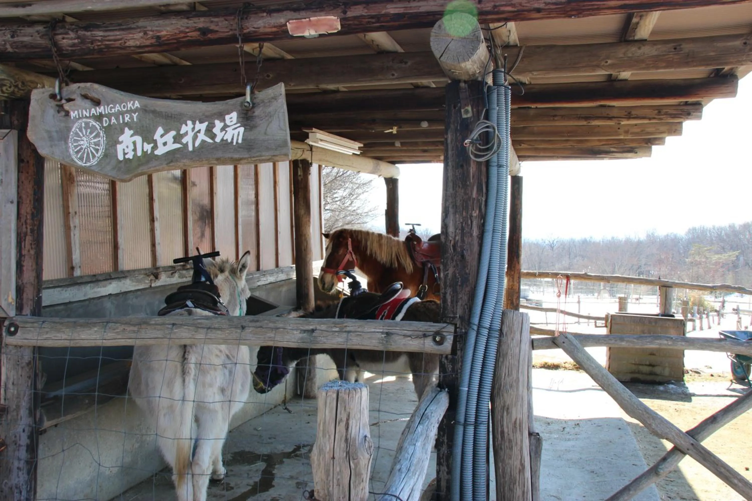 Horse-riding in Resort Hotel RAKI House Nasu