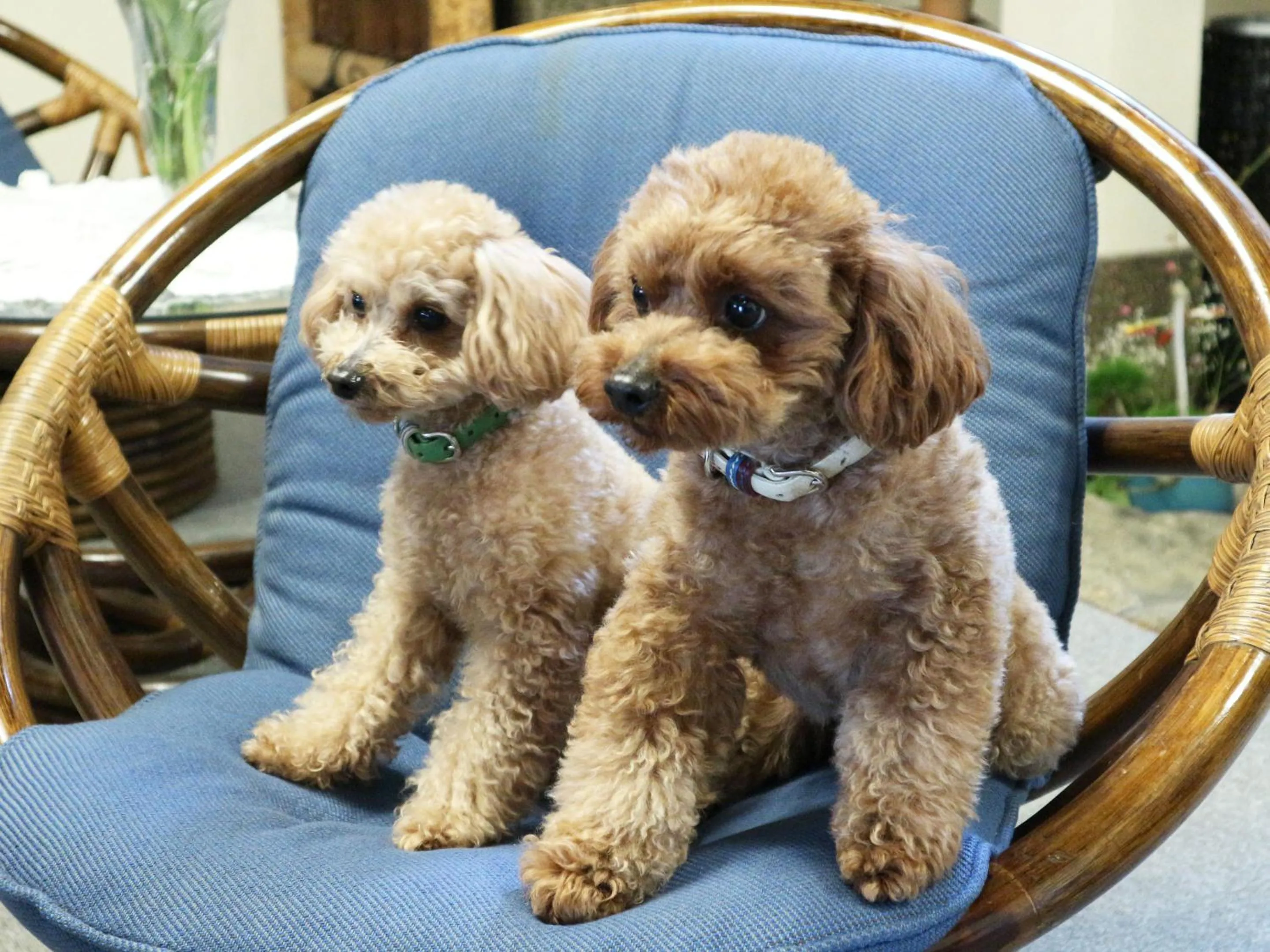 Other in Kanko Ryokan Yamato