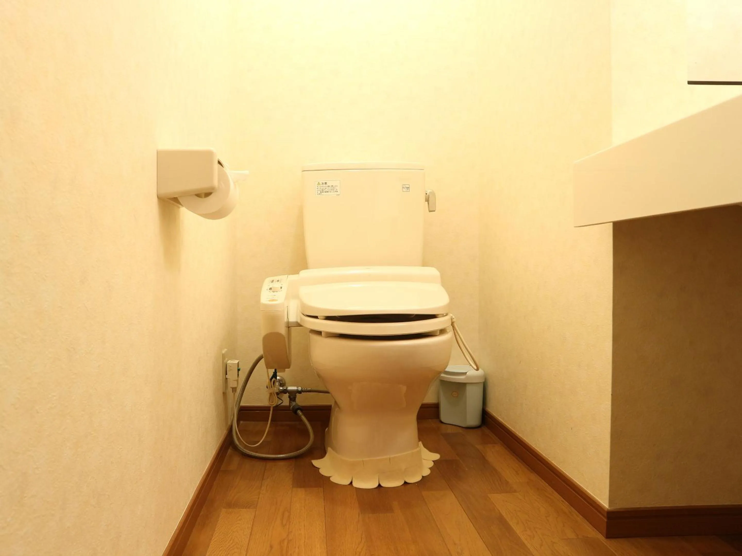 Toilet in Kanko Ryokan Yamato