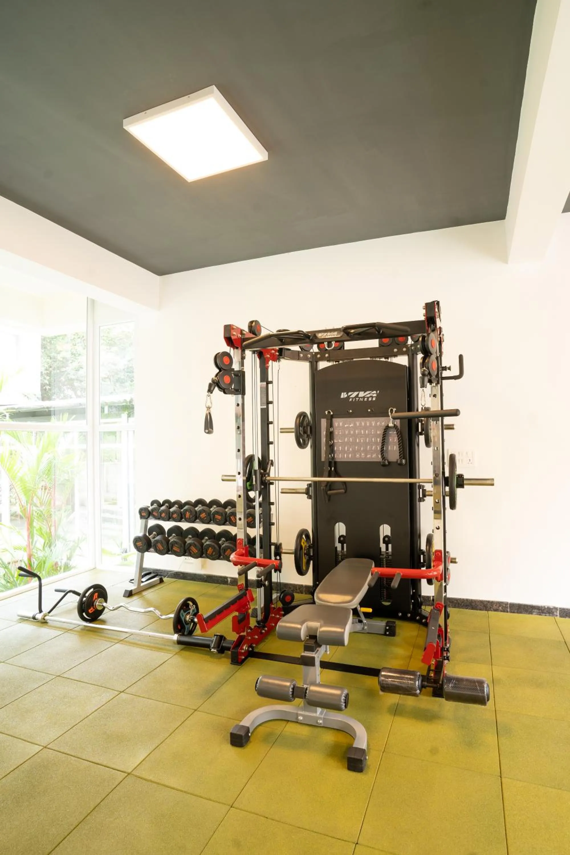 Activities in Carnival De Goa