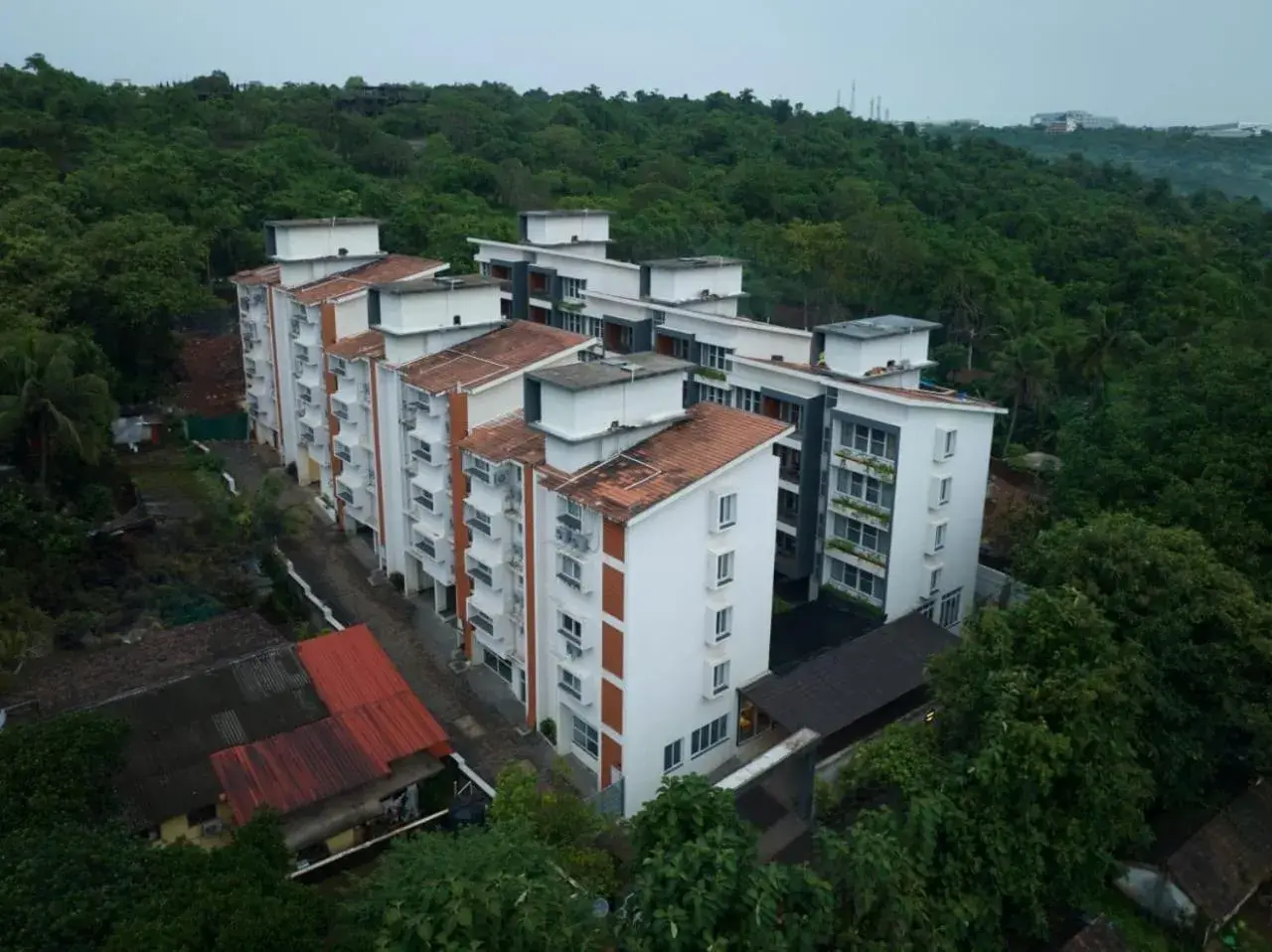 Carnival De Goa Carnival De Goa