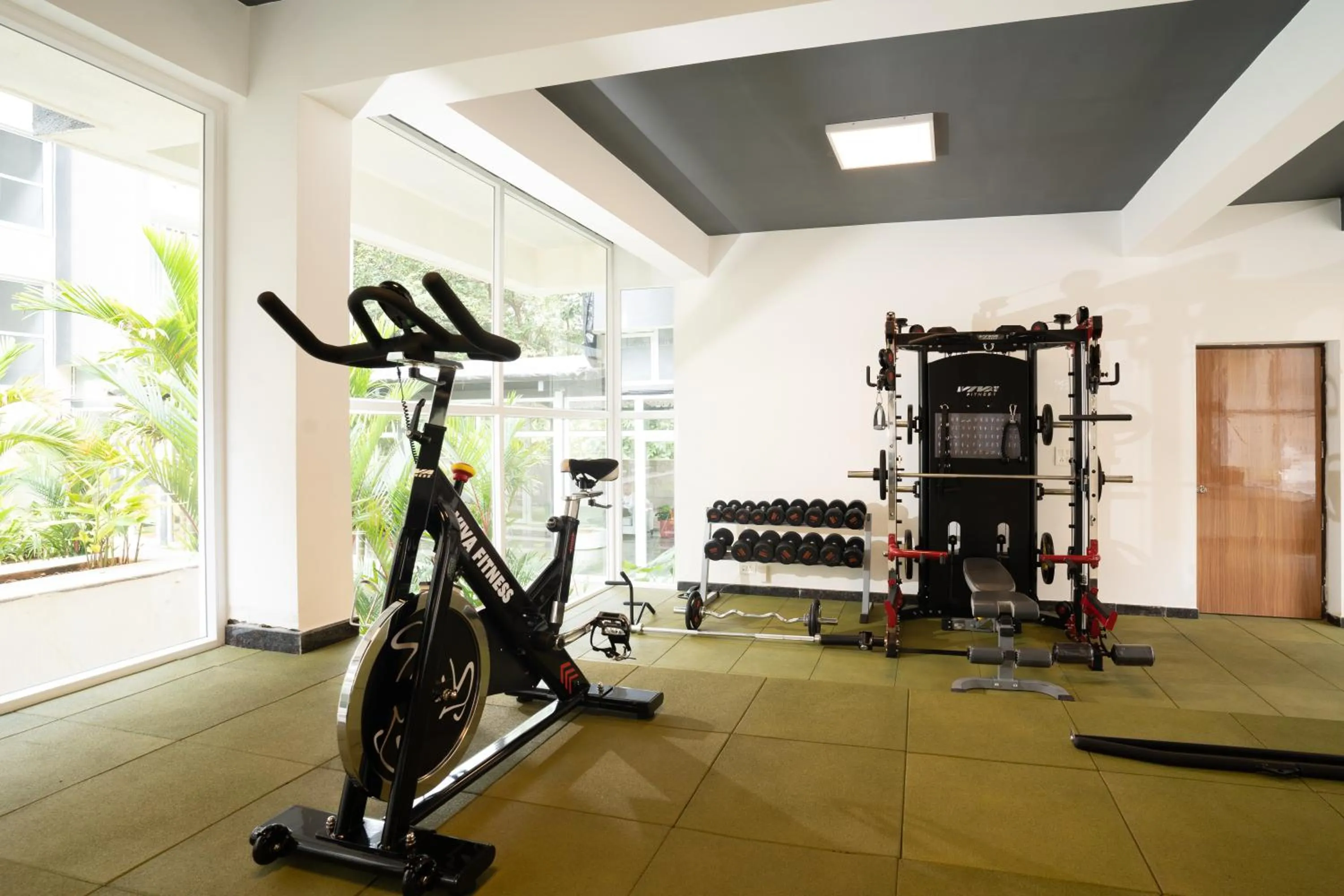 Activities in Carnival De Goa