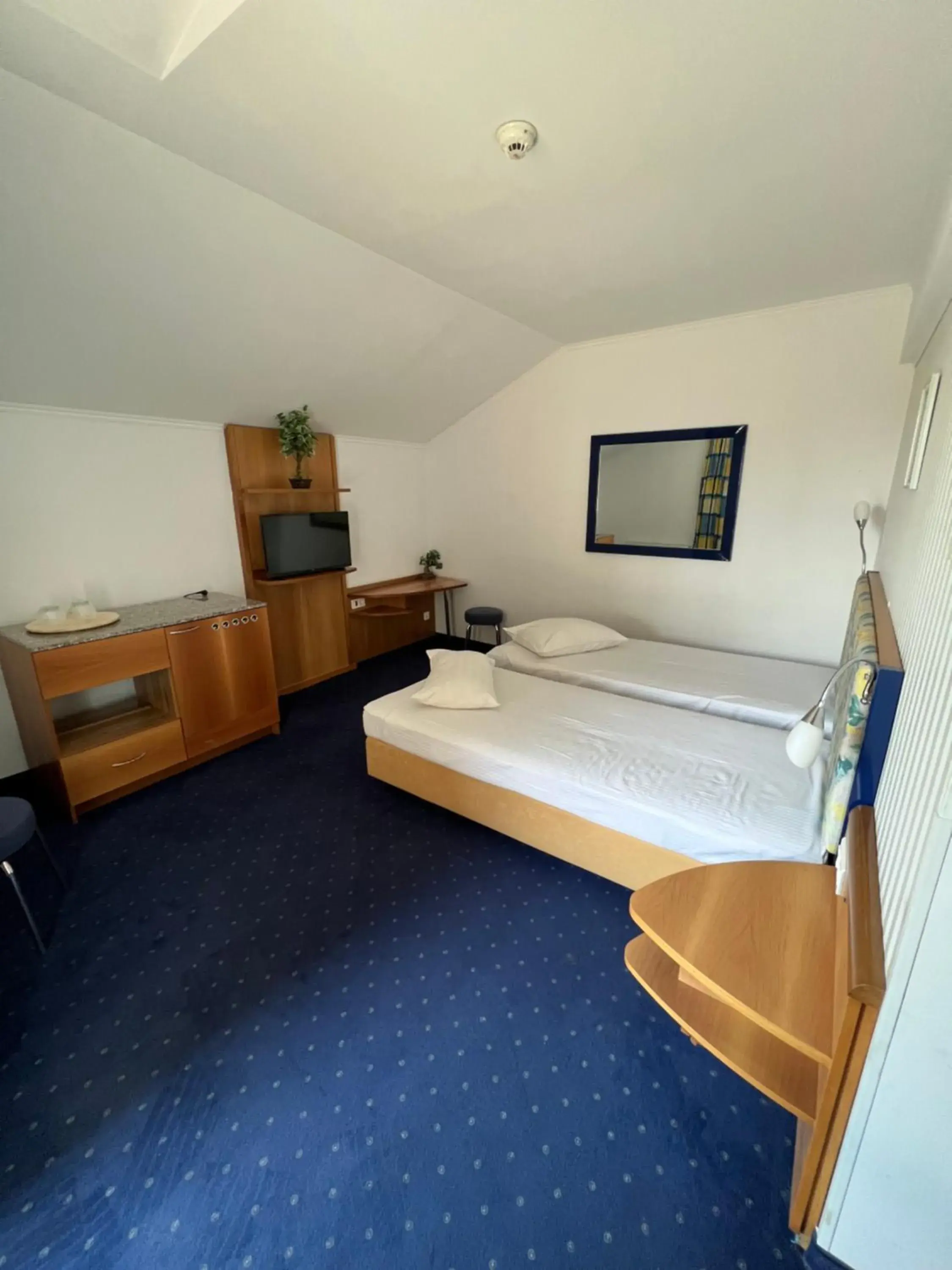 Twin Room in Hotel Doi Taurasi Twin Room in Hotel Doi Taurasi