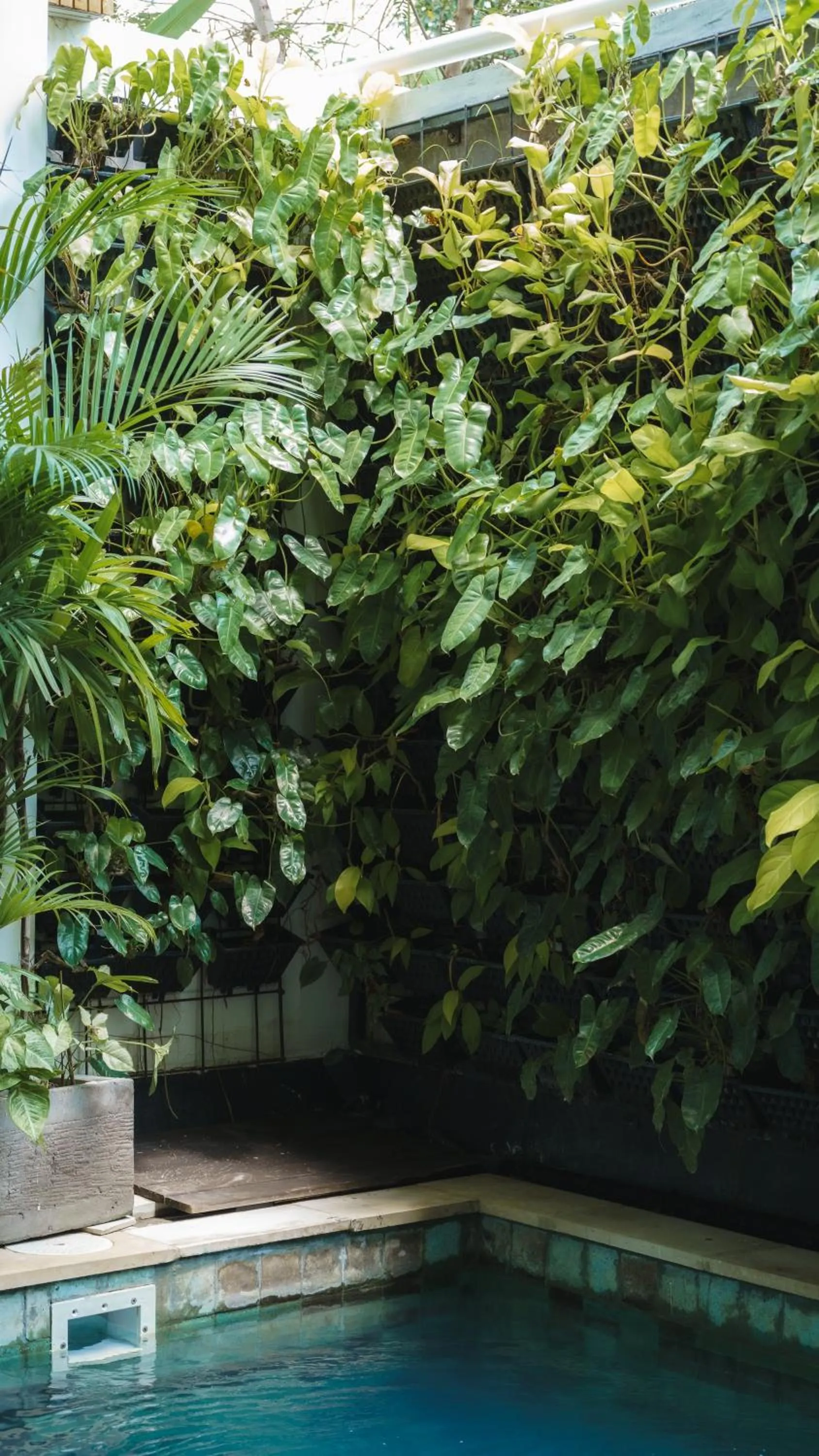 Garden in Premier Umalas Villas