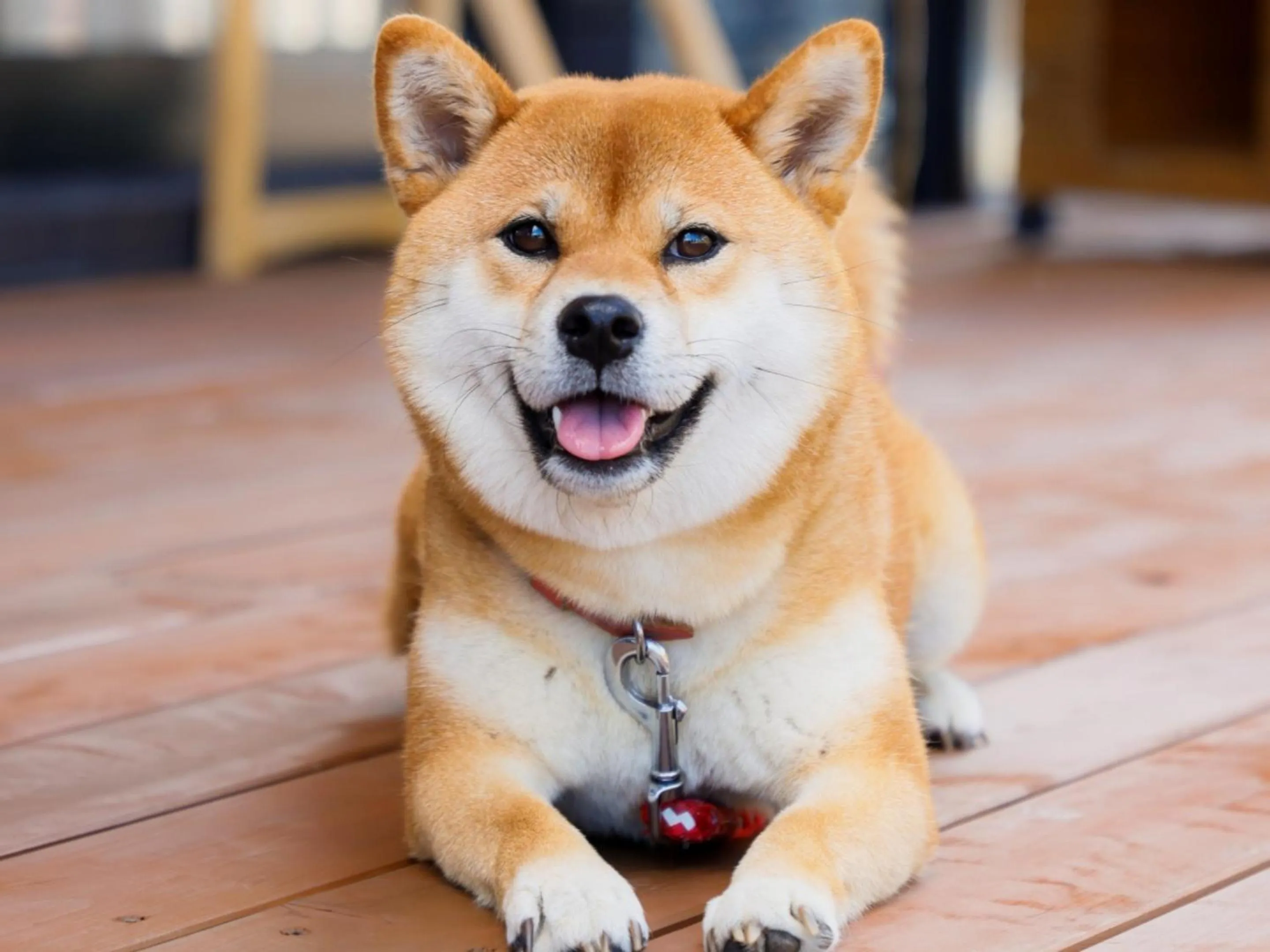 Other in Hotel Kii Tanabe