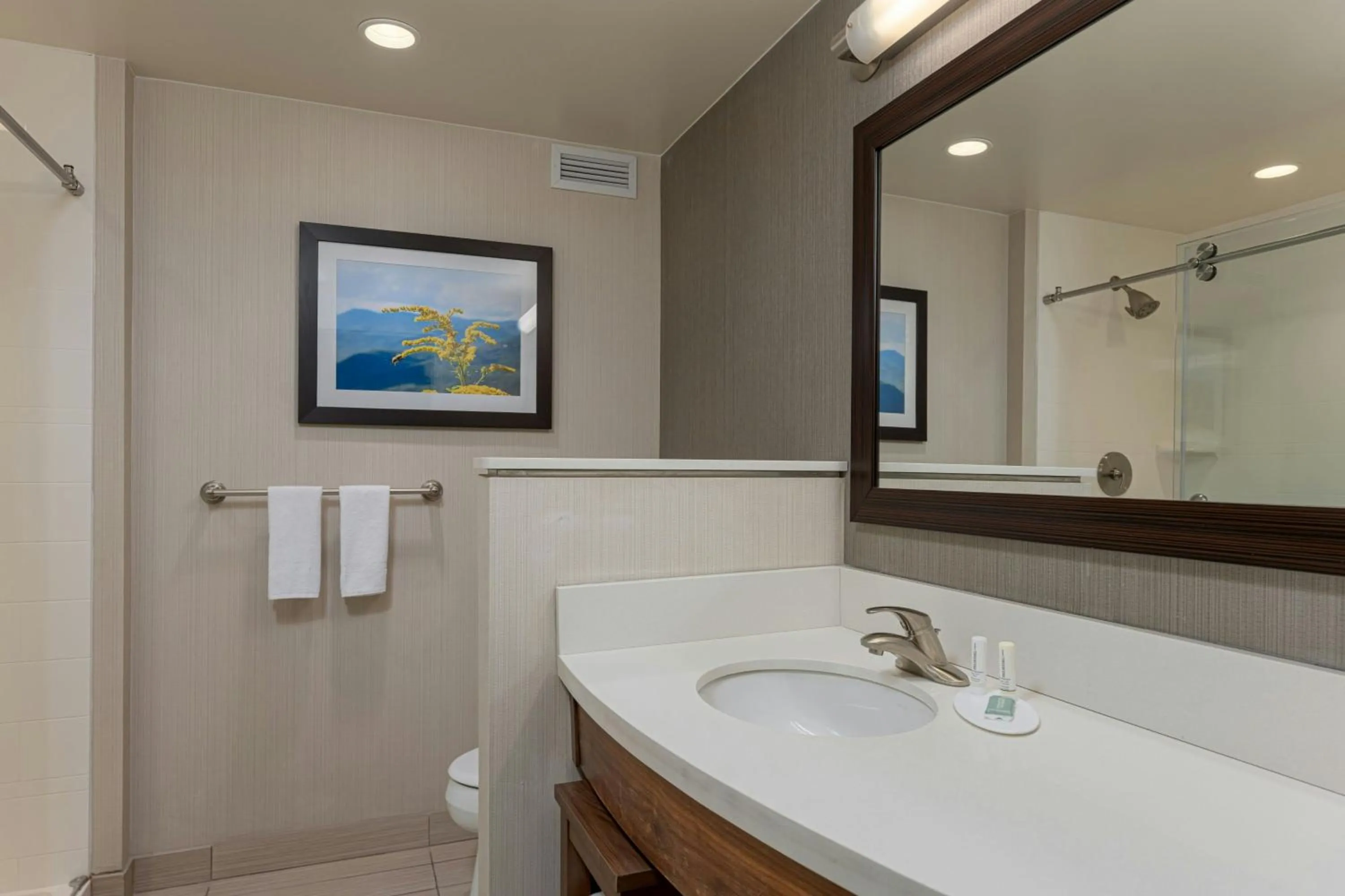 Bathroom in Courtyard by Marriott Asheville Airport