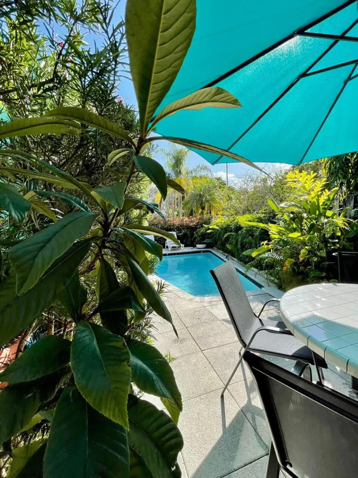 Welcoming Airbnb Walkig distance to Las Olas Blvd