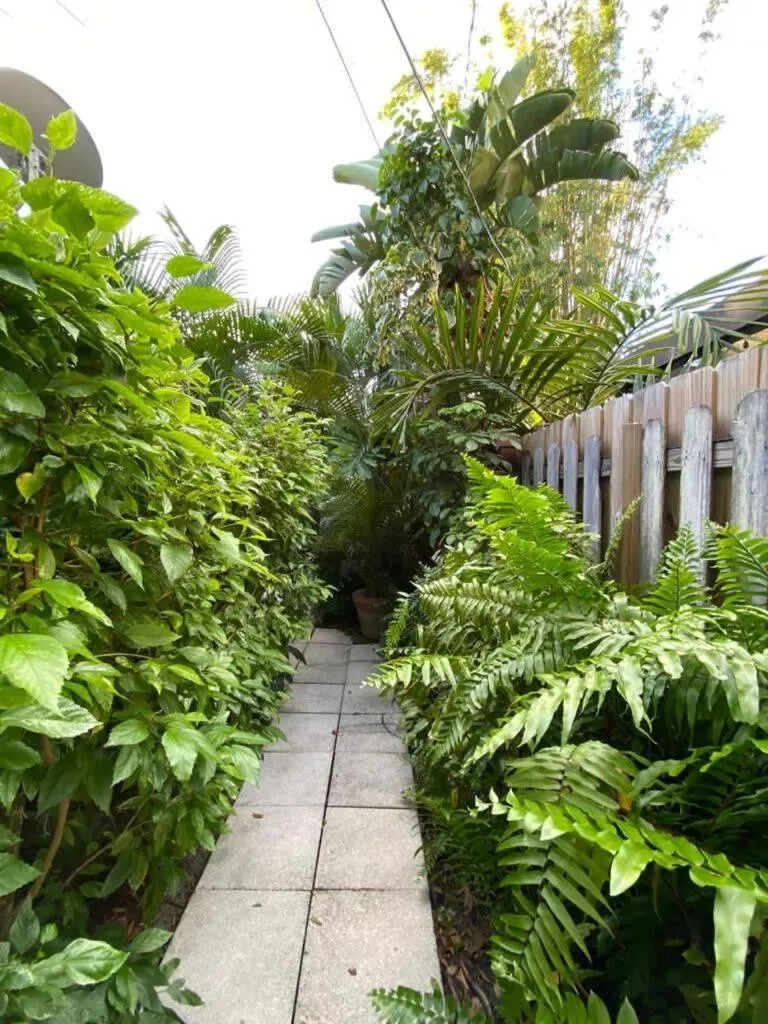 Welcoming Airbnb Walkig distance to Las Olas Blvd