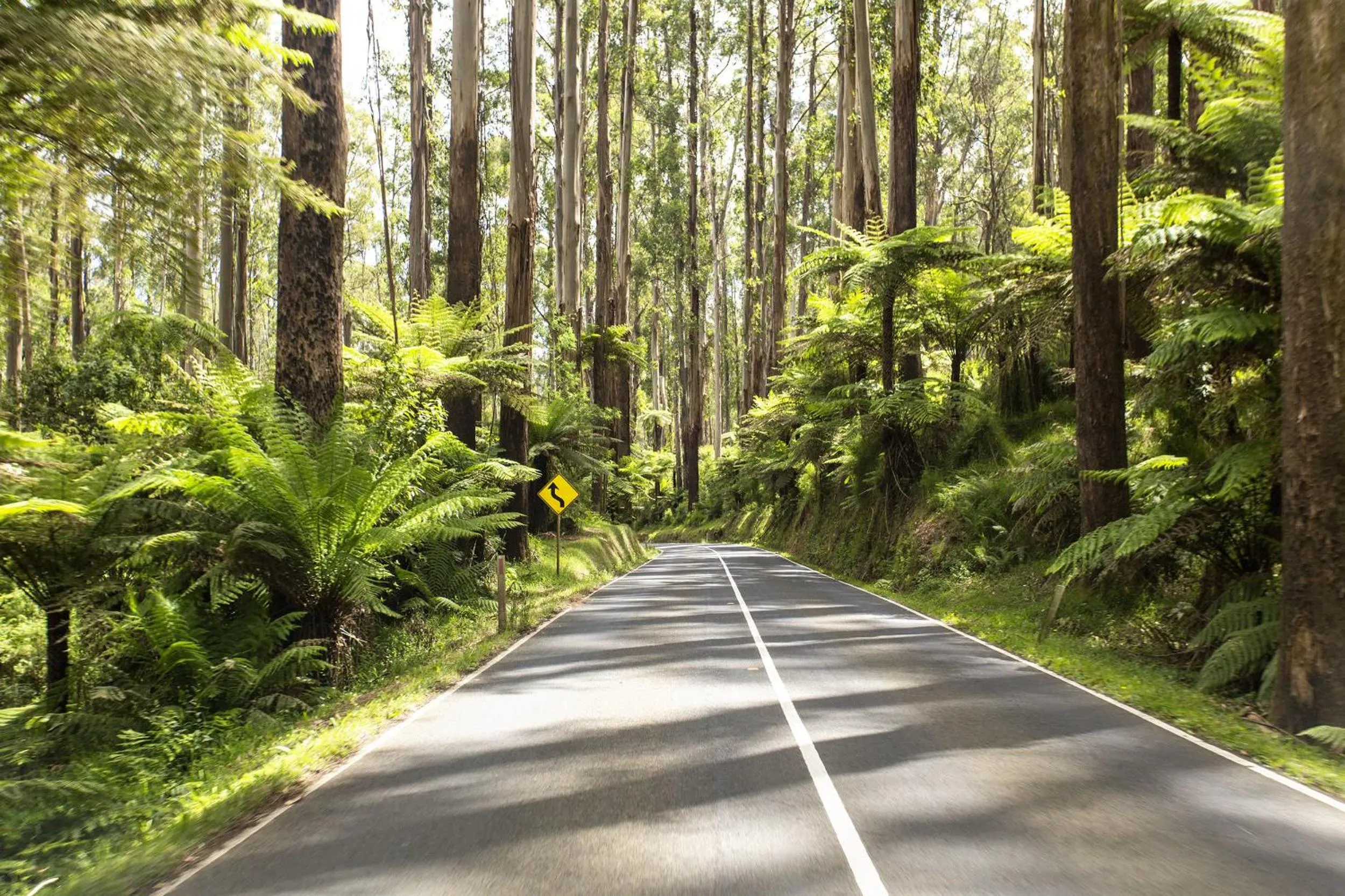 Other in Peppers Marysville