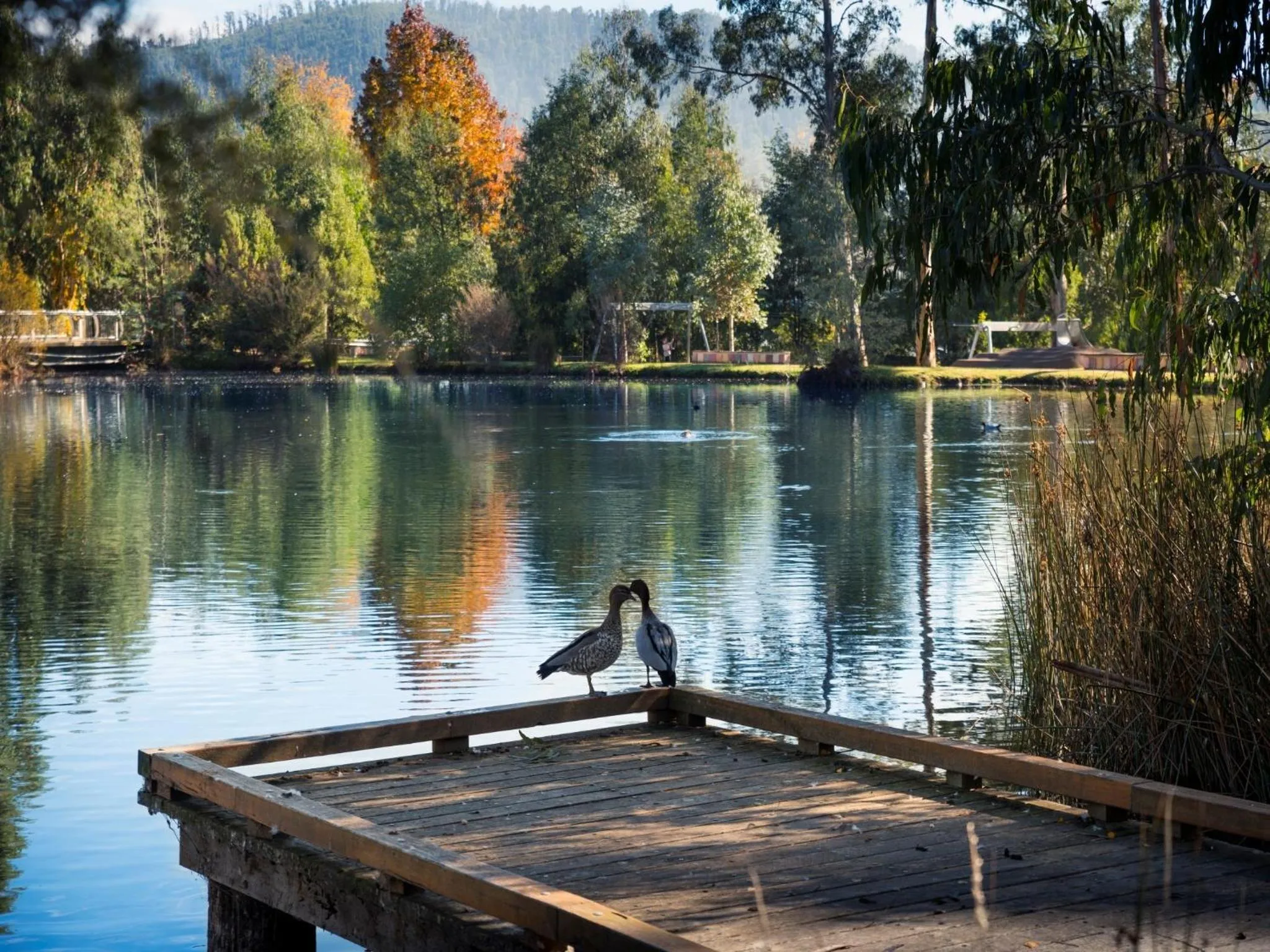 Nearby landmark in Peppers Marysville