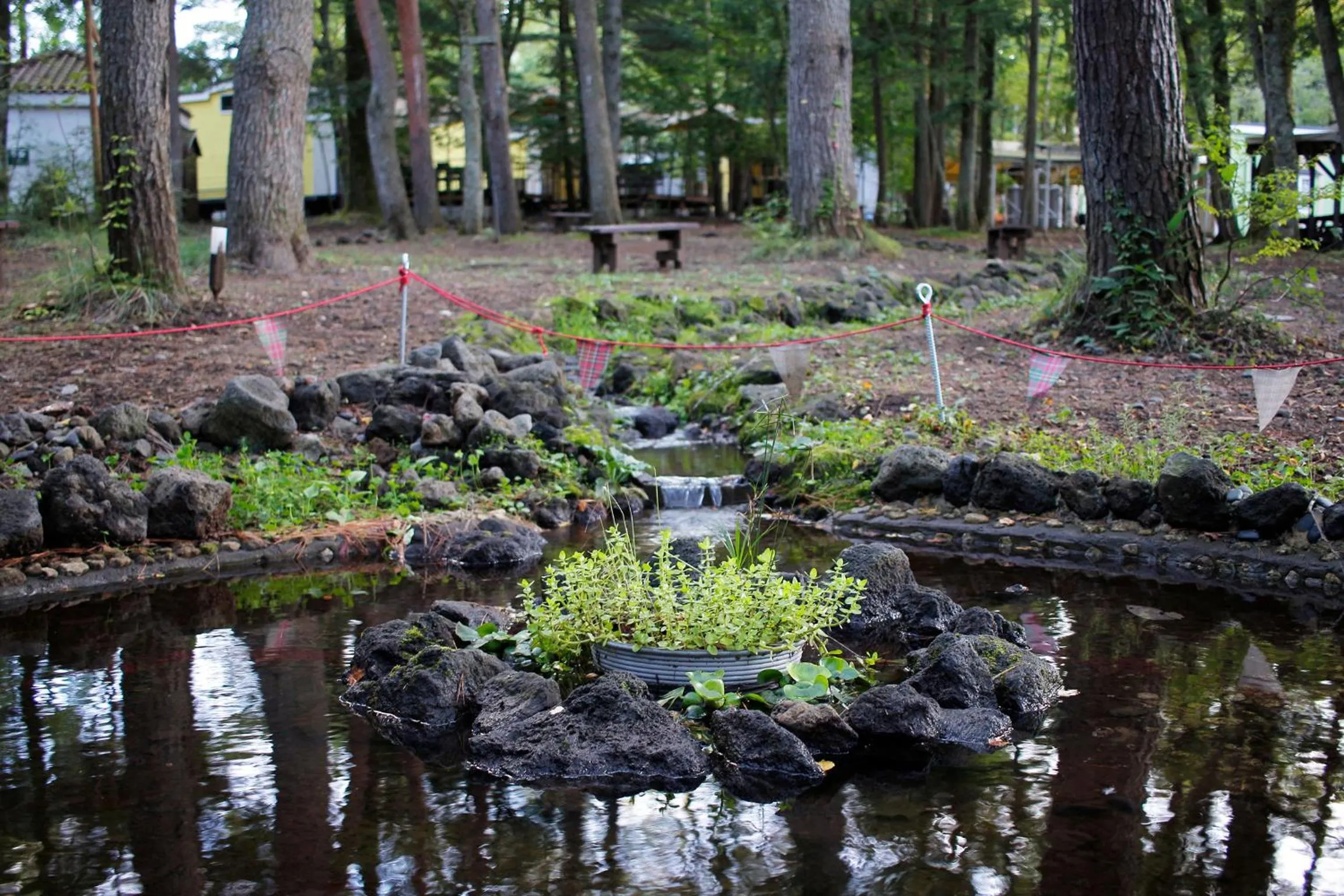 Natural landscape in PICA Fujiyoshida