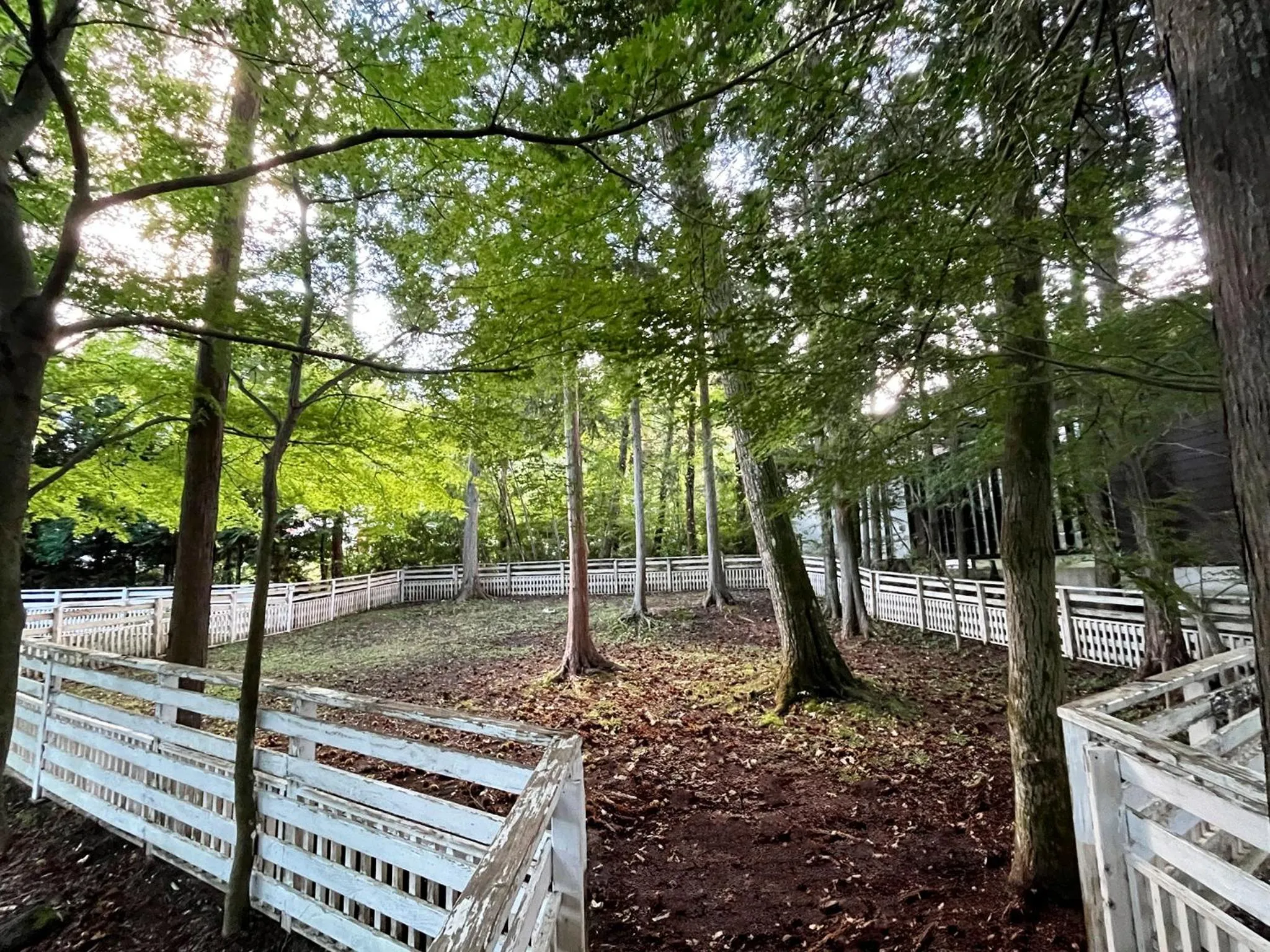 Animals in PICA Fujiyoshida