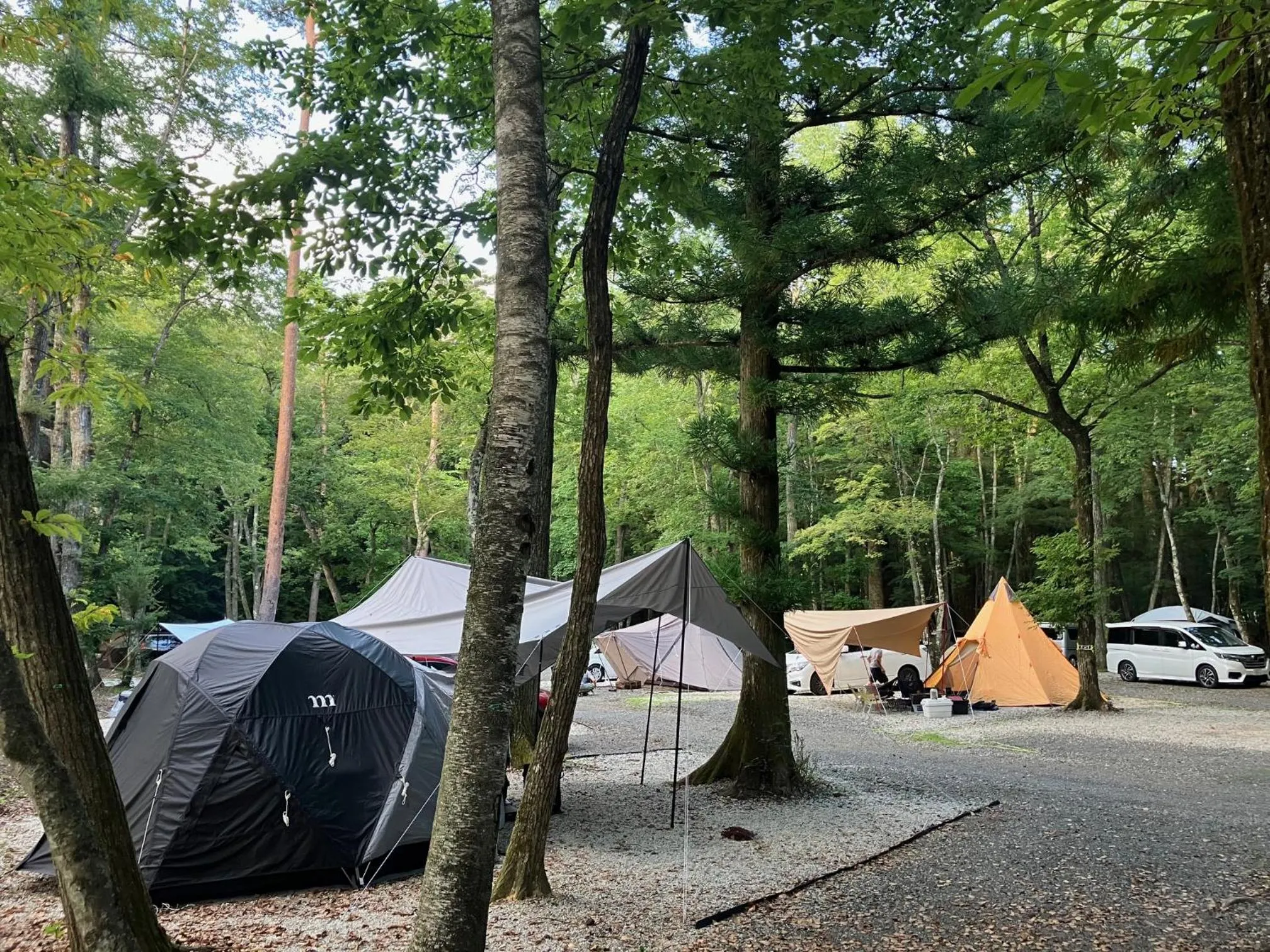 Day in PICA Fujiyoshida