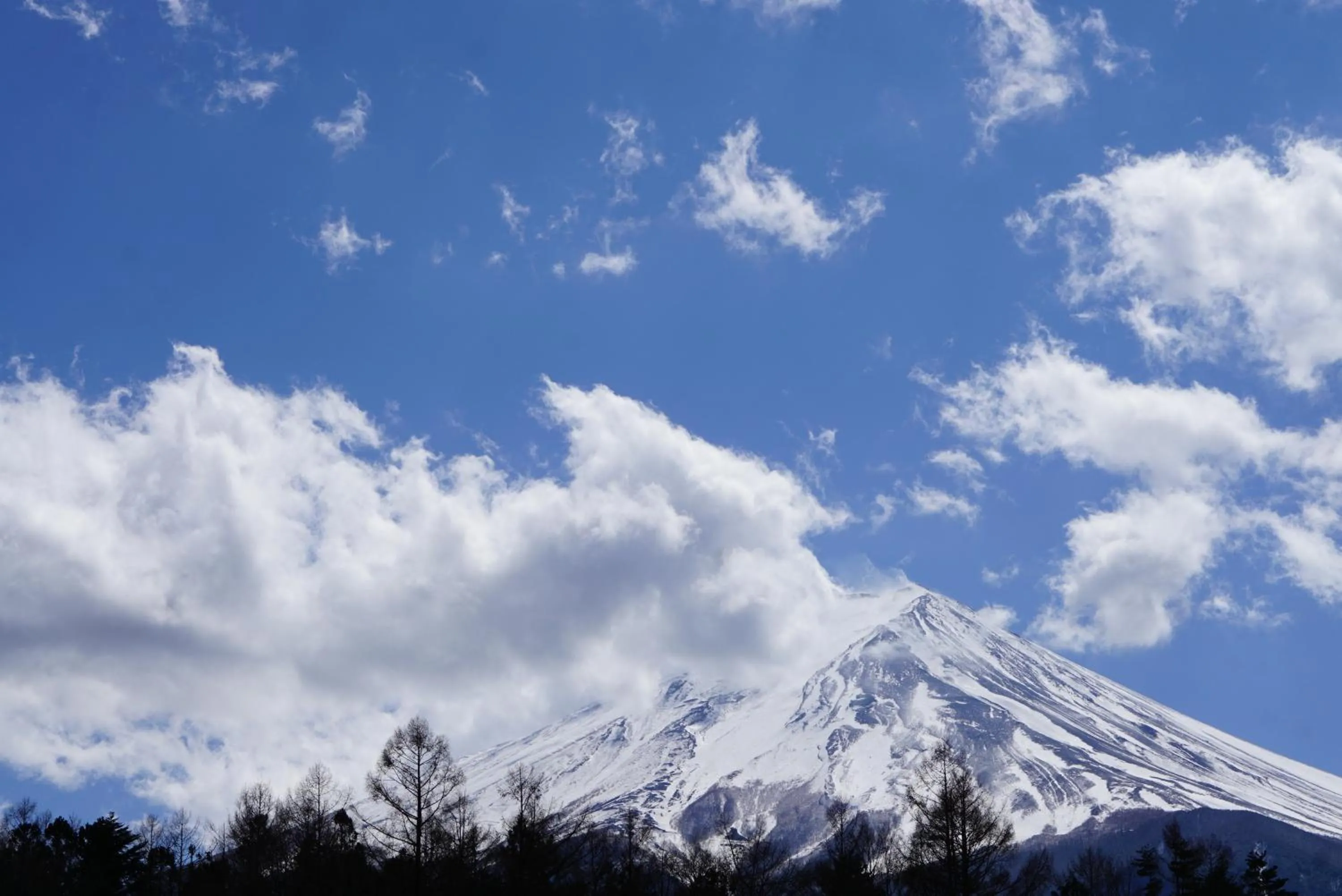 Nearby landmark in PICA Fujiyoshida