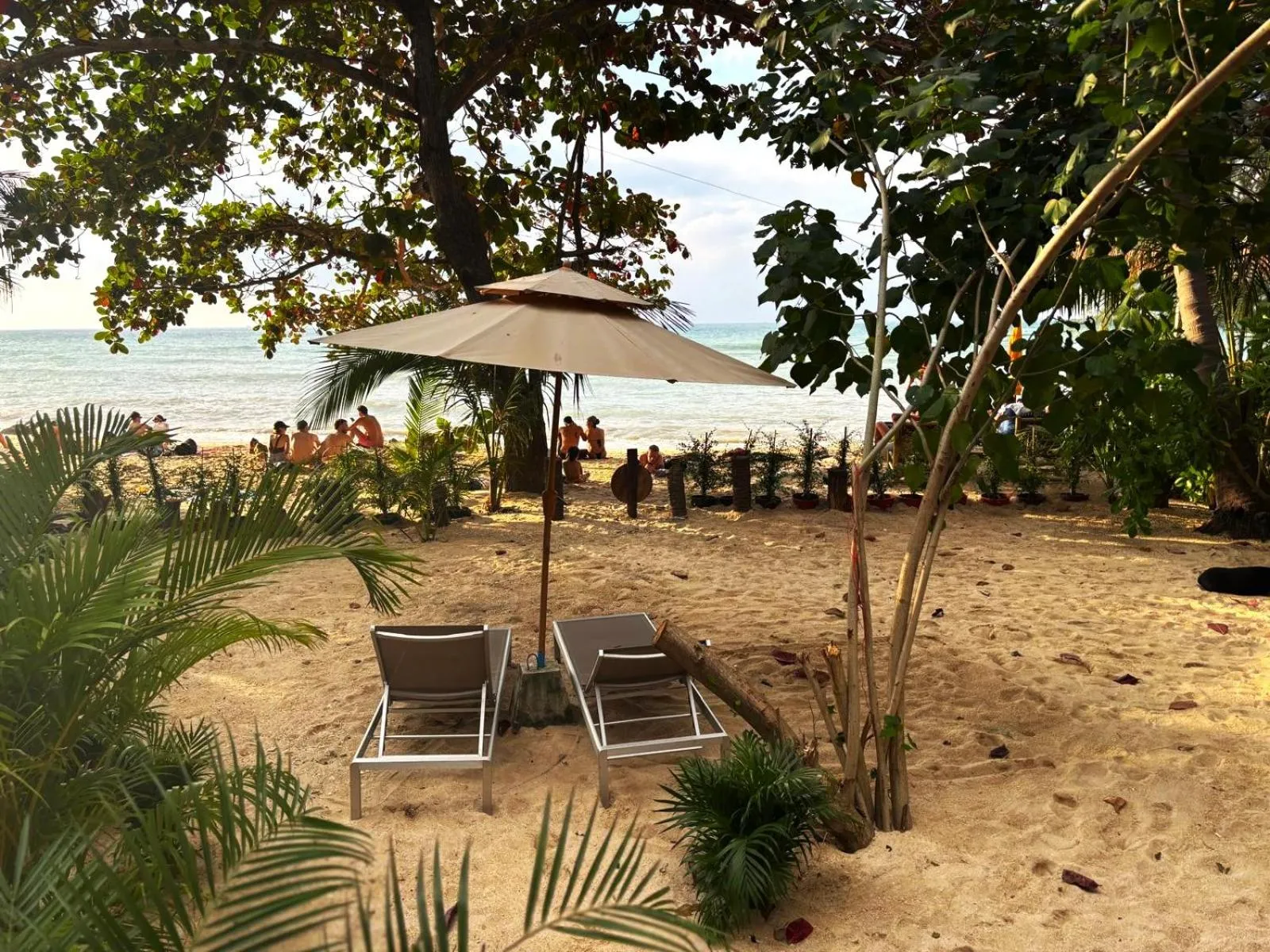 sunbed in Secret Beach Bungalows