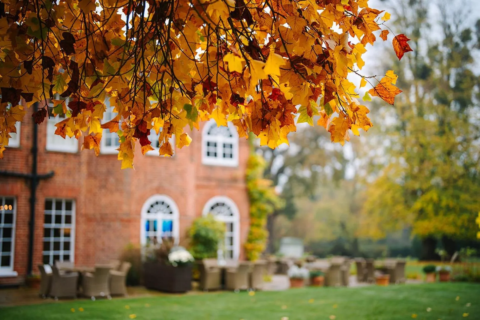 Garden in Royal Berkshire