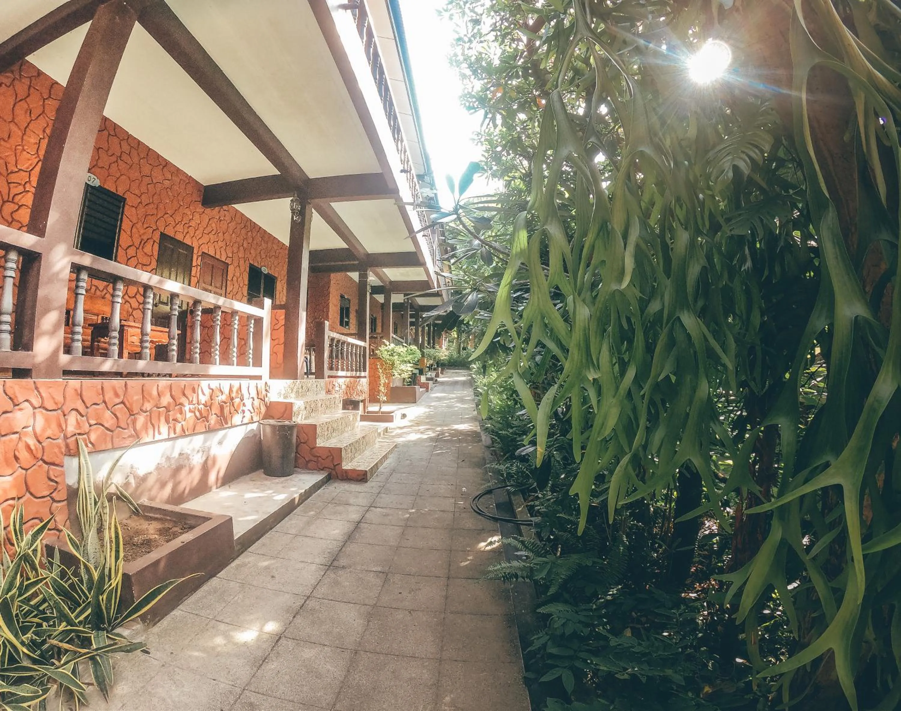 Balcony/Terrace in Coral Bungalows