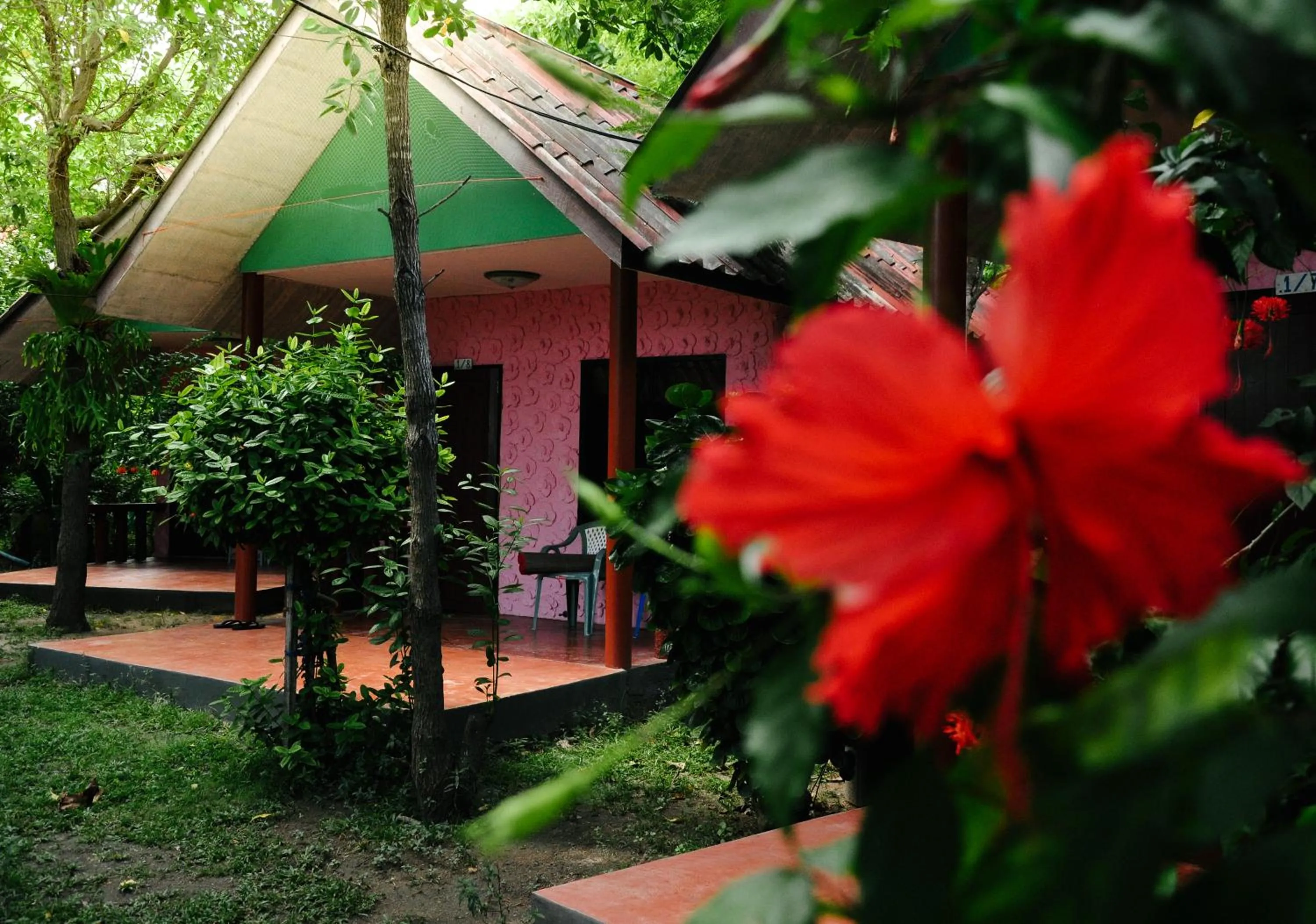 Garden view in Coral Bungalows