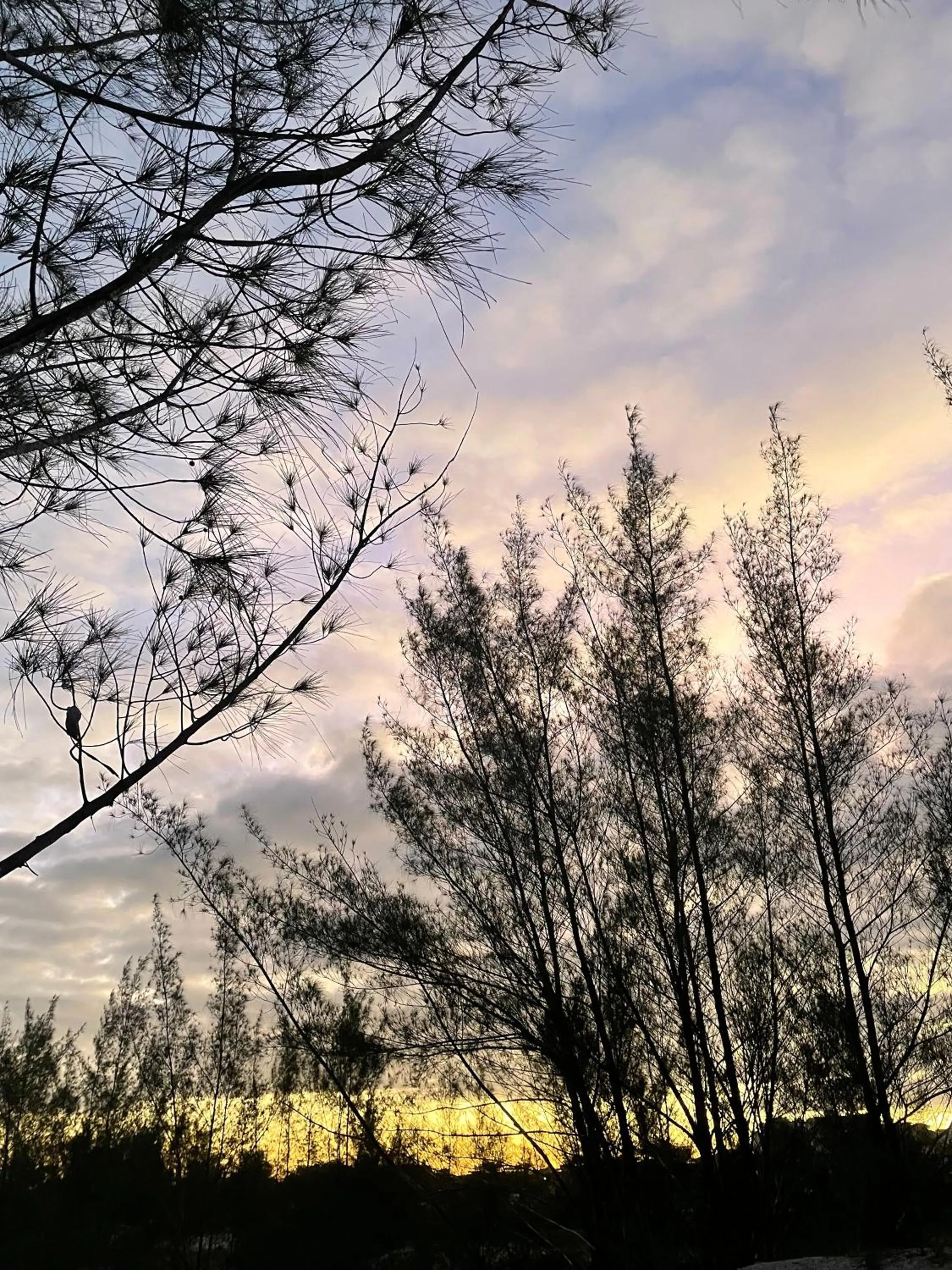 Day in Pousada Toca dos Coelhos