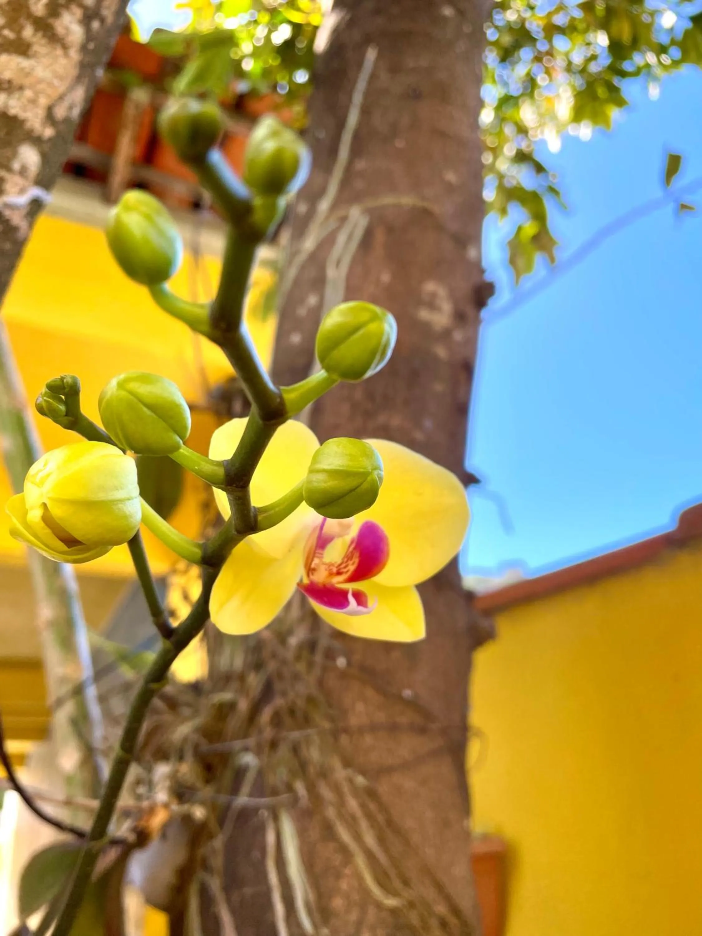 Day in Pousada Toca dos Coelhos