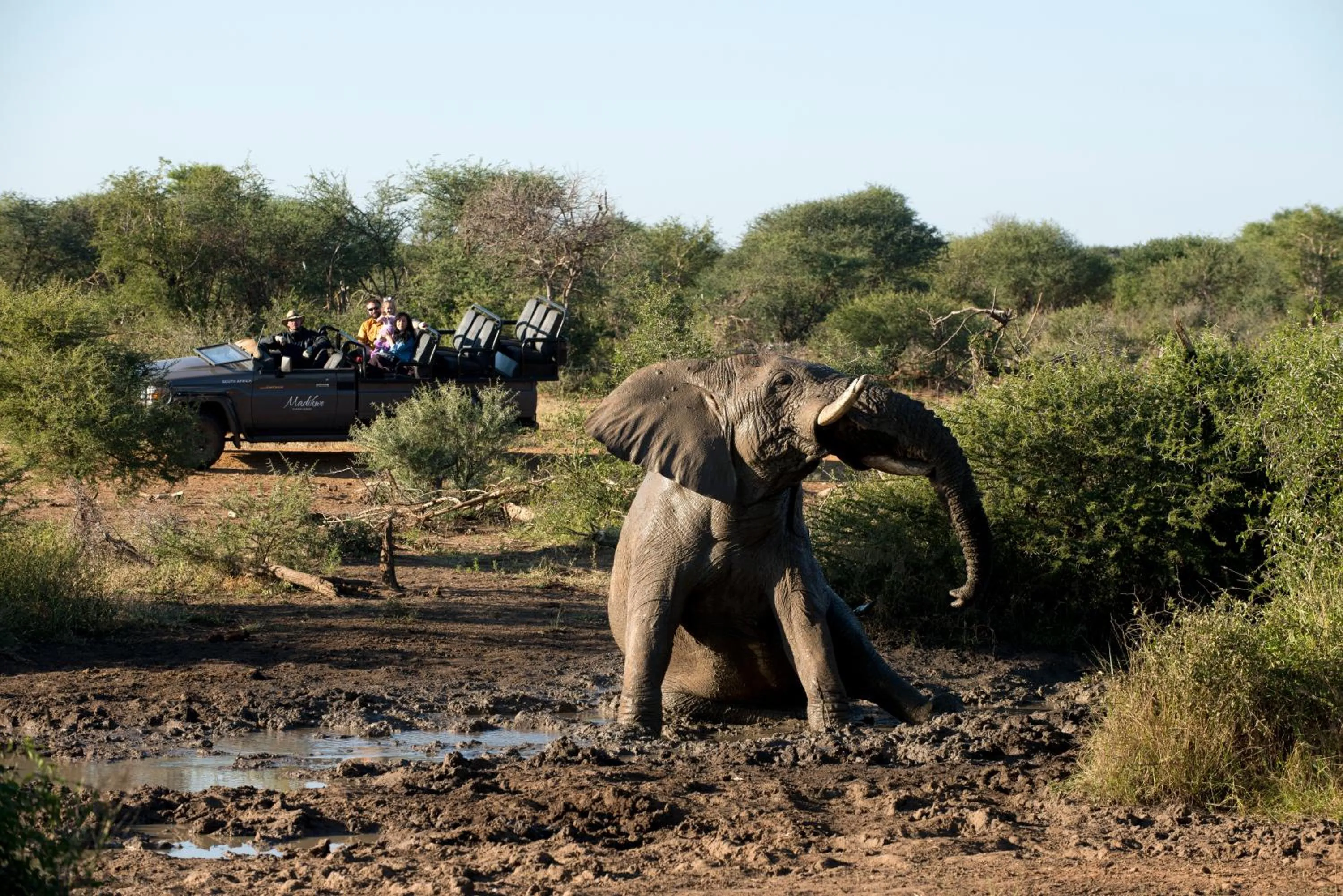 Activities in Madikwe Safari Lodge