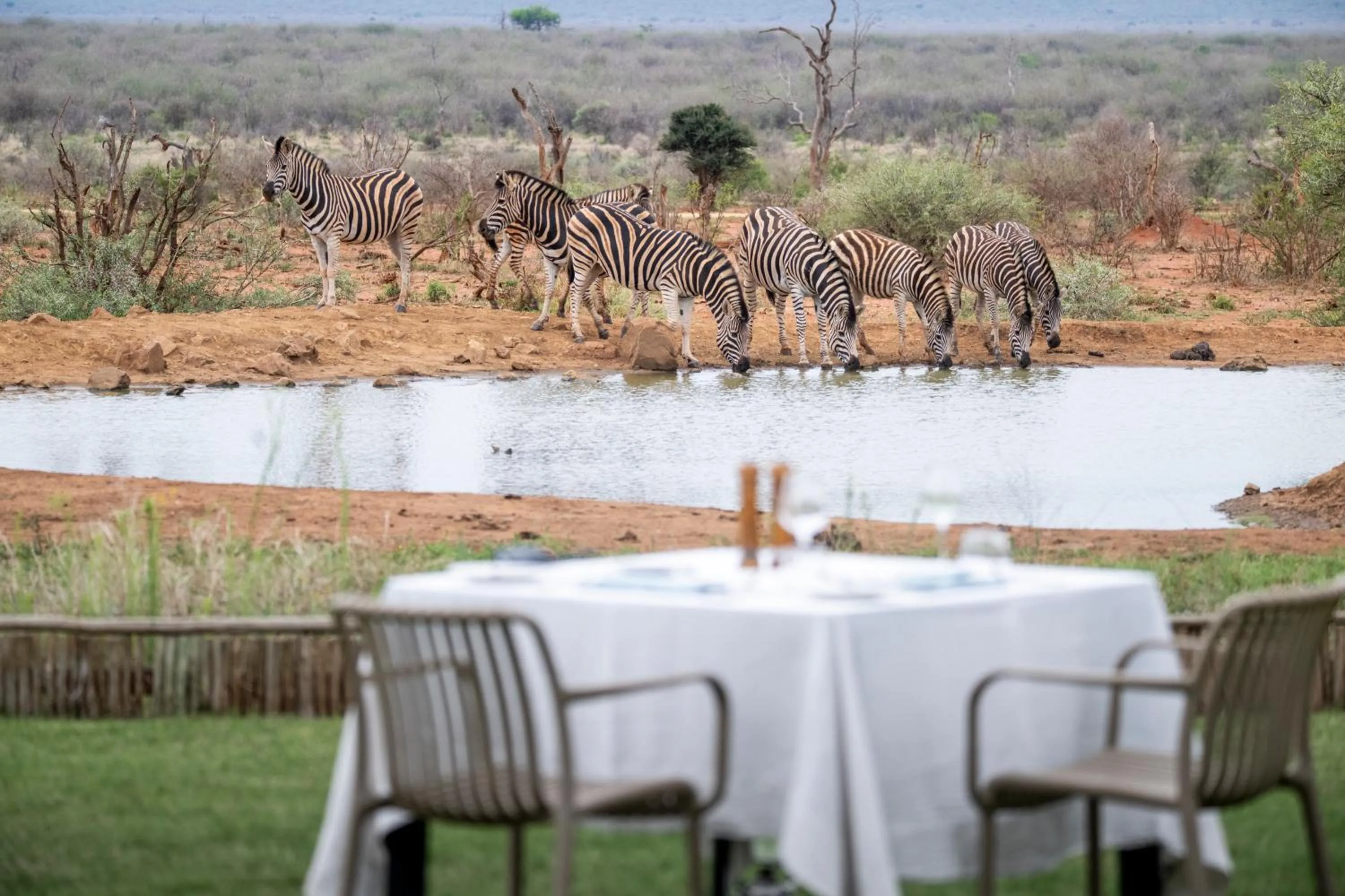 Activities in Madikwe Safari Lodge