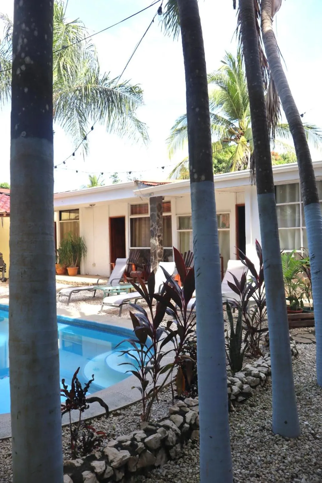 Property building in Coconut Beach House