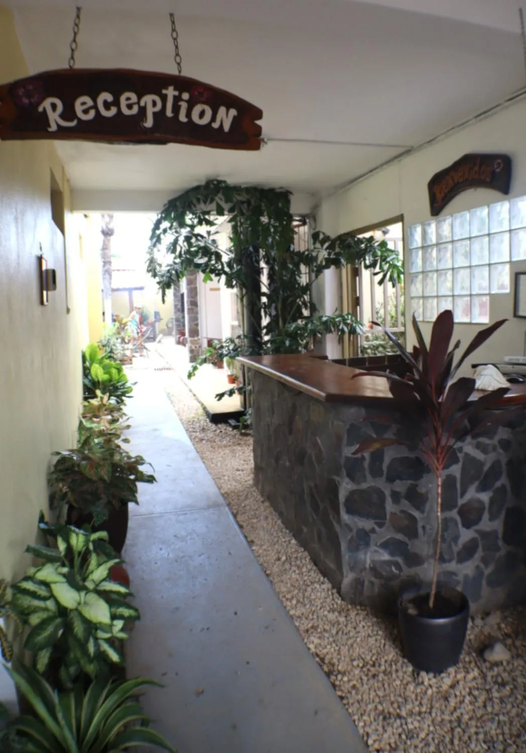 Day in Coconut Beach House