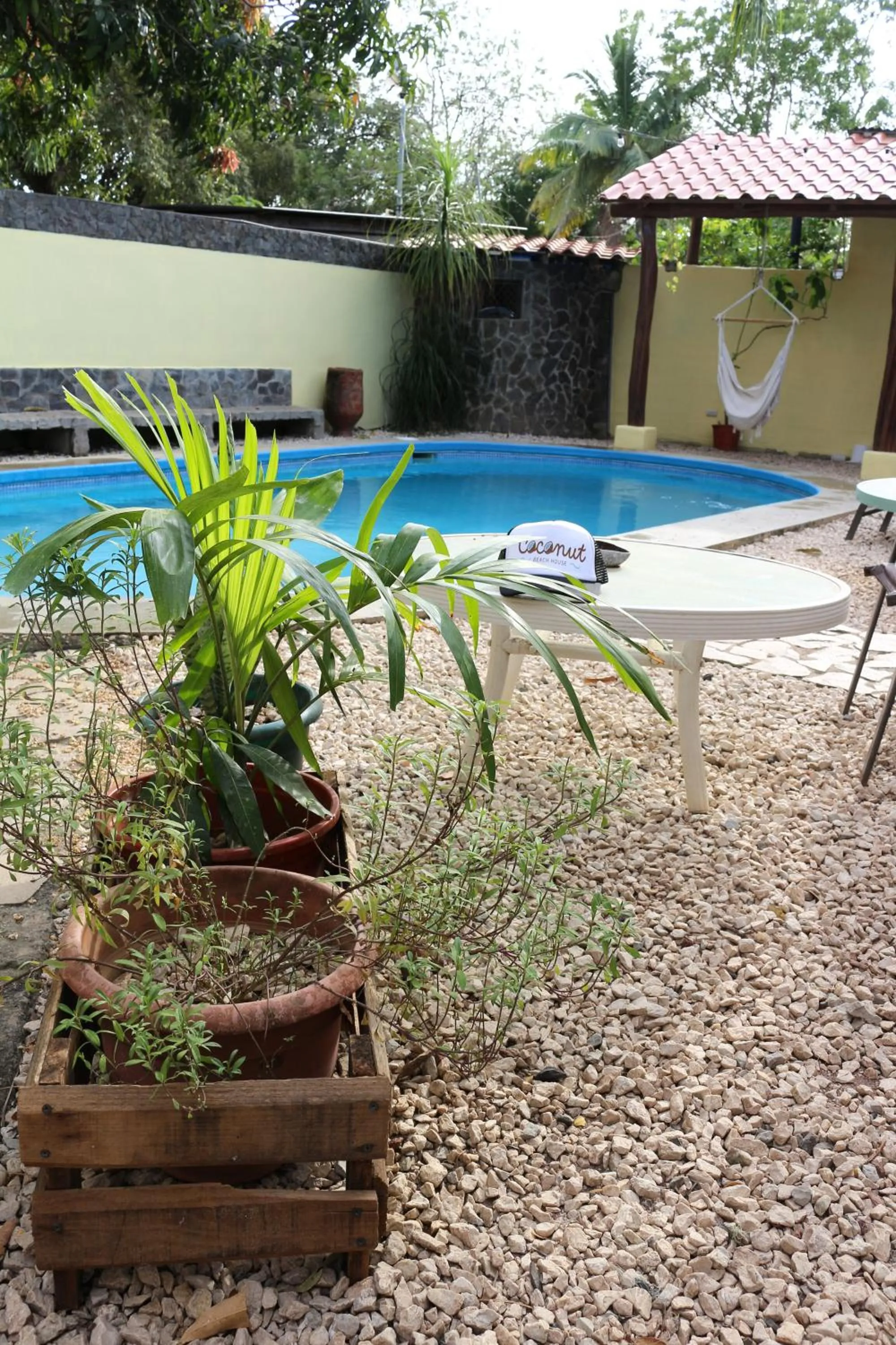 Patio in Coconut Beach House
