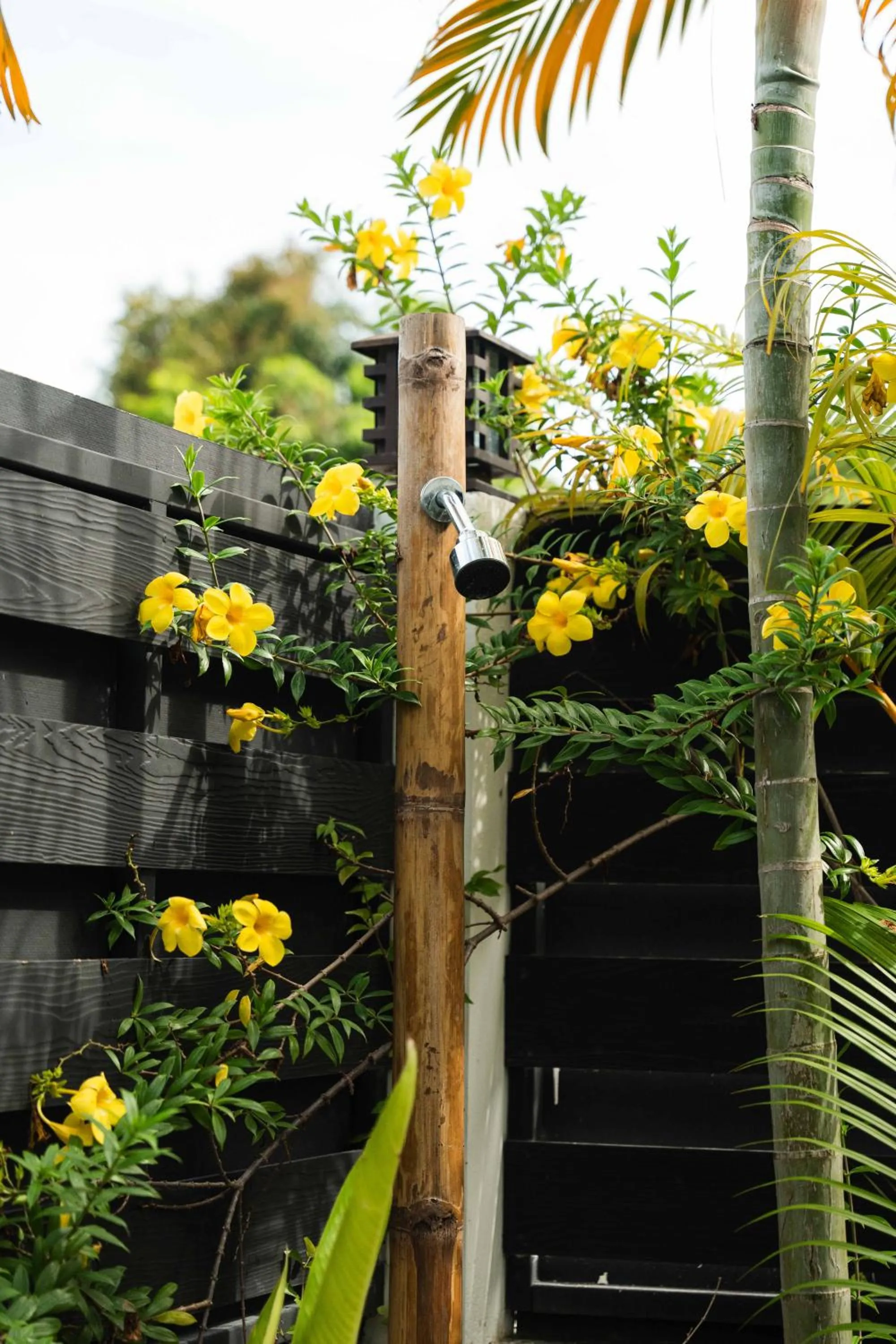 Shower in La Belle Vie - Boutique Hotel Adults Only