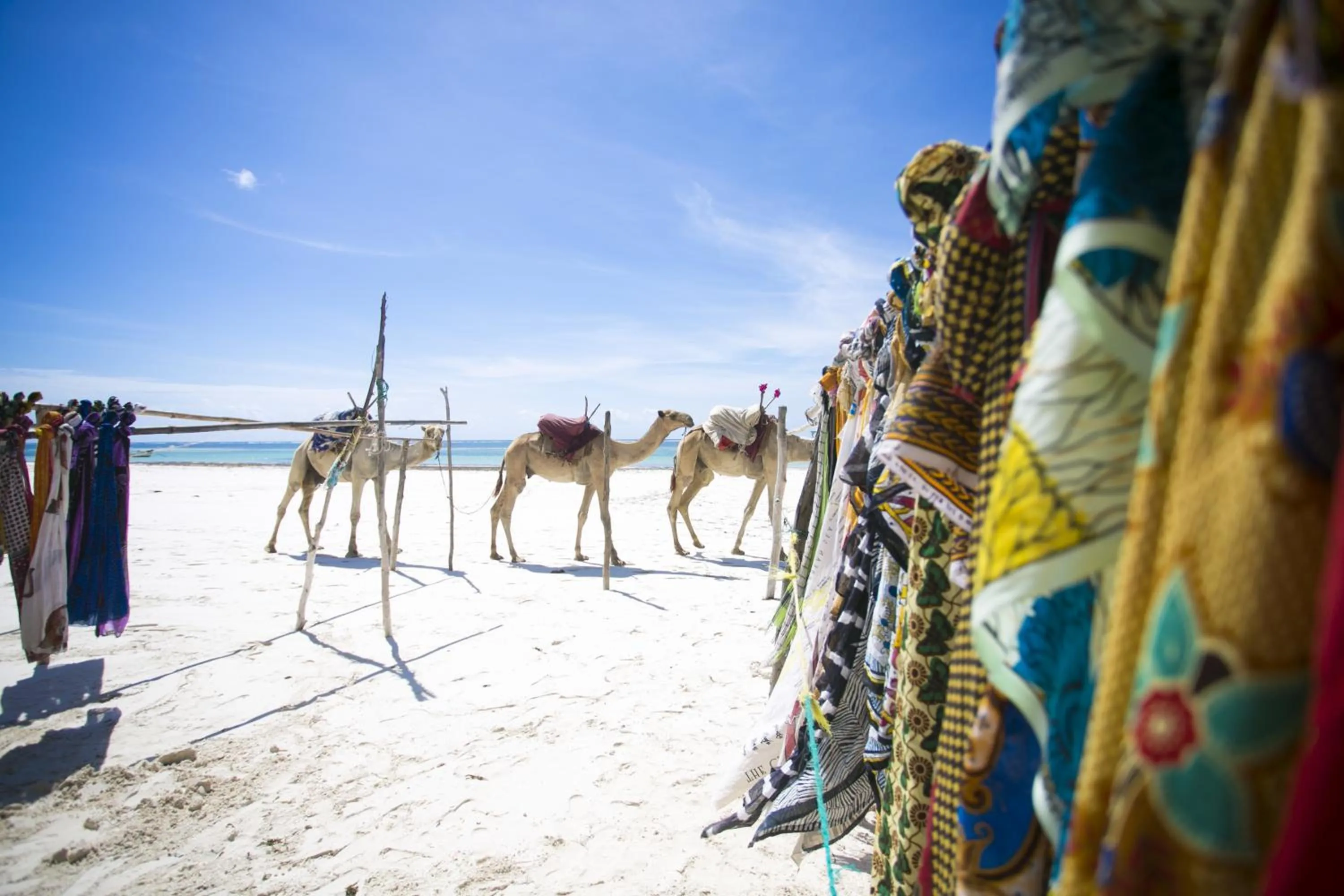 Off site in Diani Sea Resort - All Inclusive