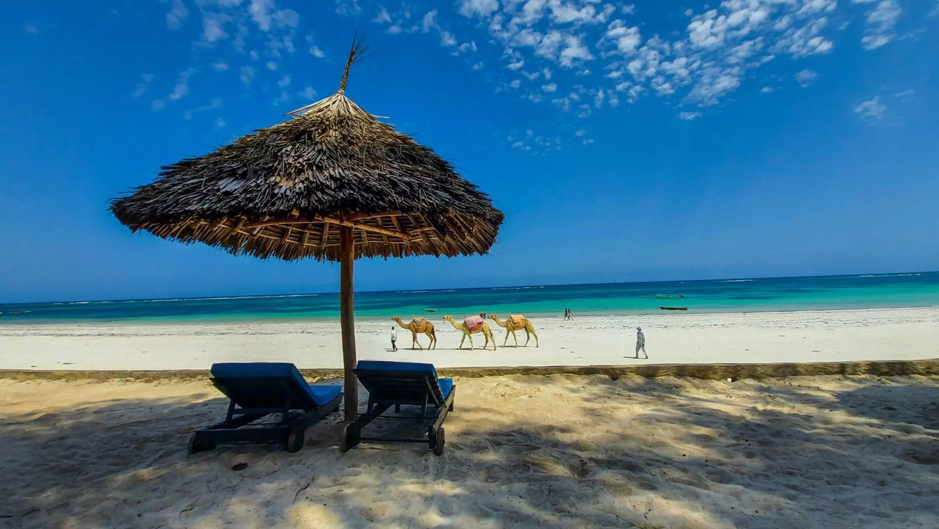 Beach in Diani Sea Resort - All Inclusive