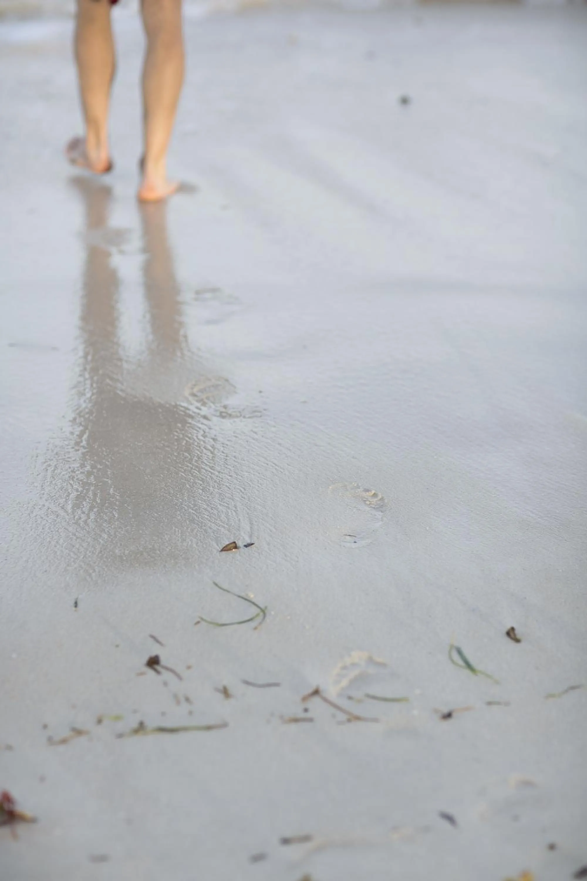 Beach in Diani Sea Resort - All Inclusive