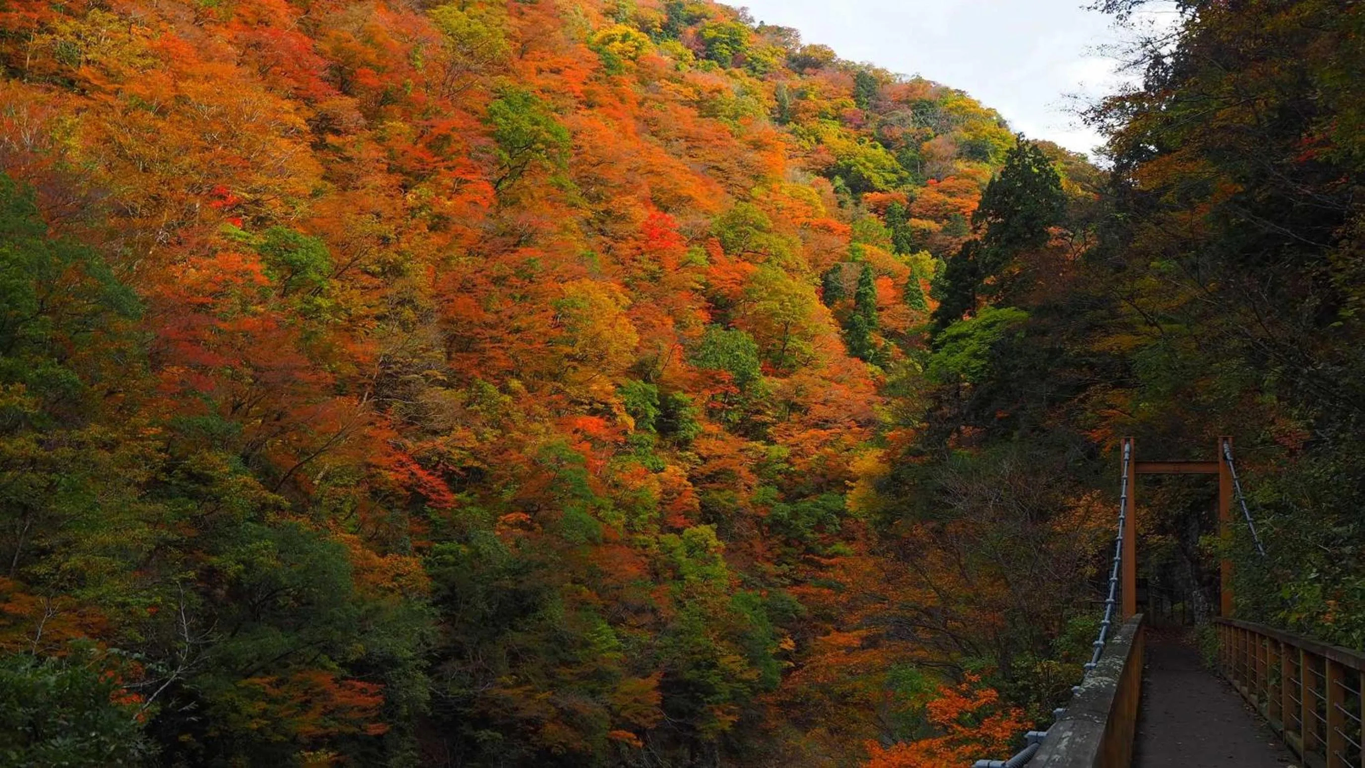 Natural landscape in Kashintei Shirahama